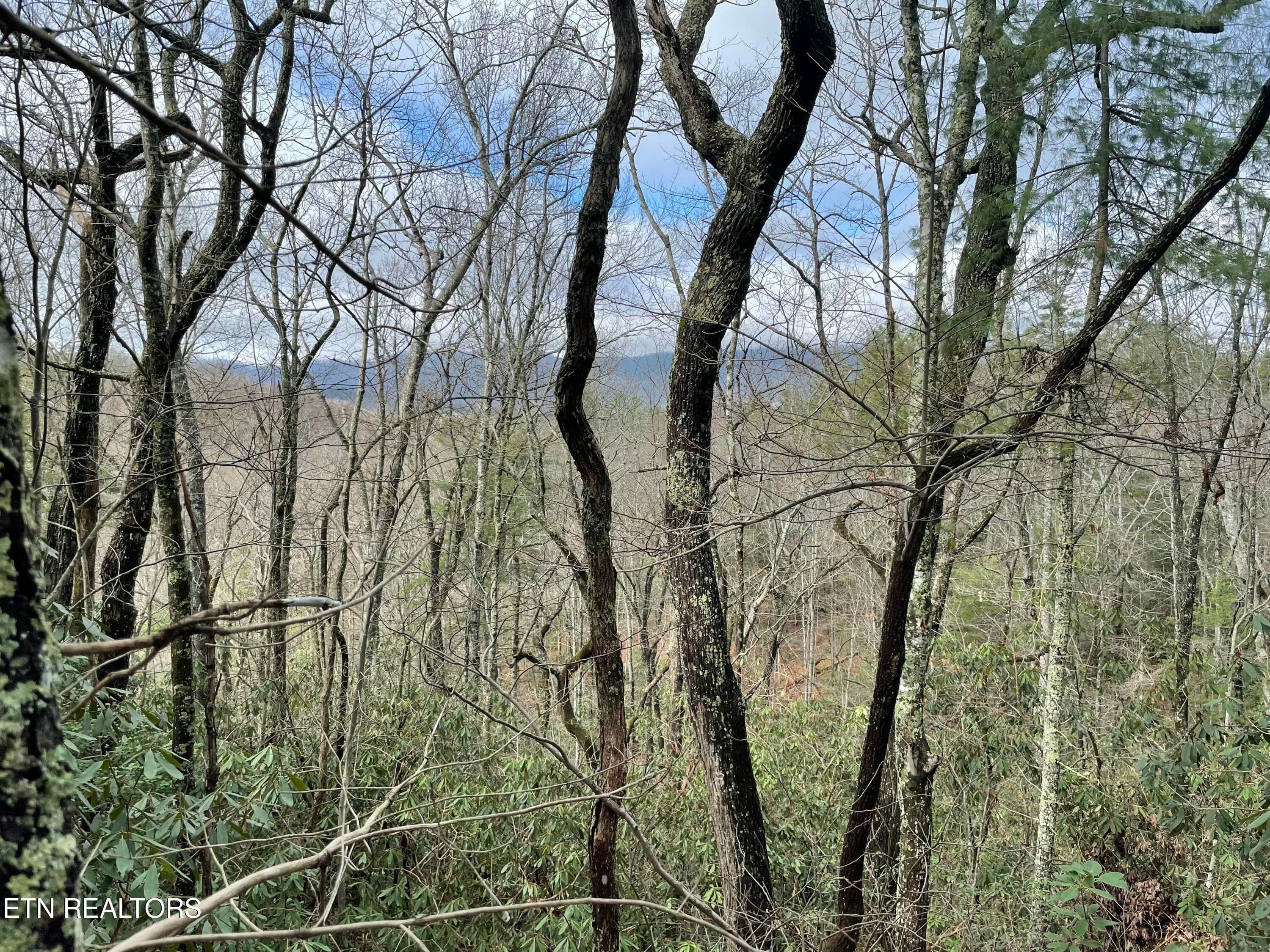 IMG_8665 - TBD Walnut Flats Rd, Walland, TN 37886, Walland