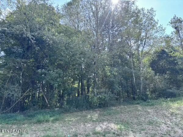 Decatur Pike, Athens, TN 37303
