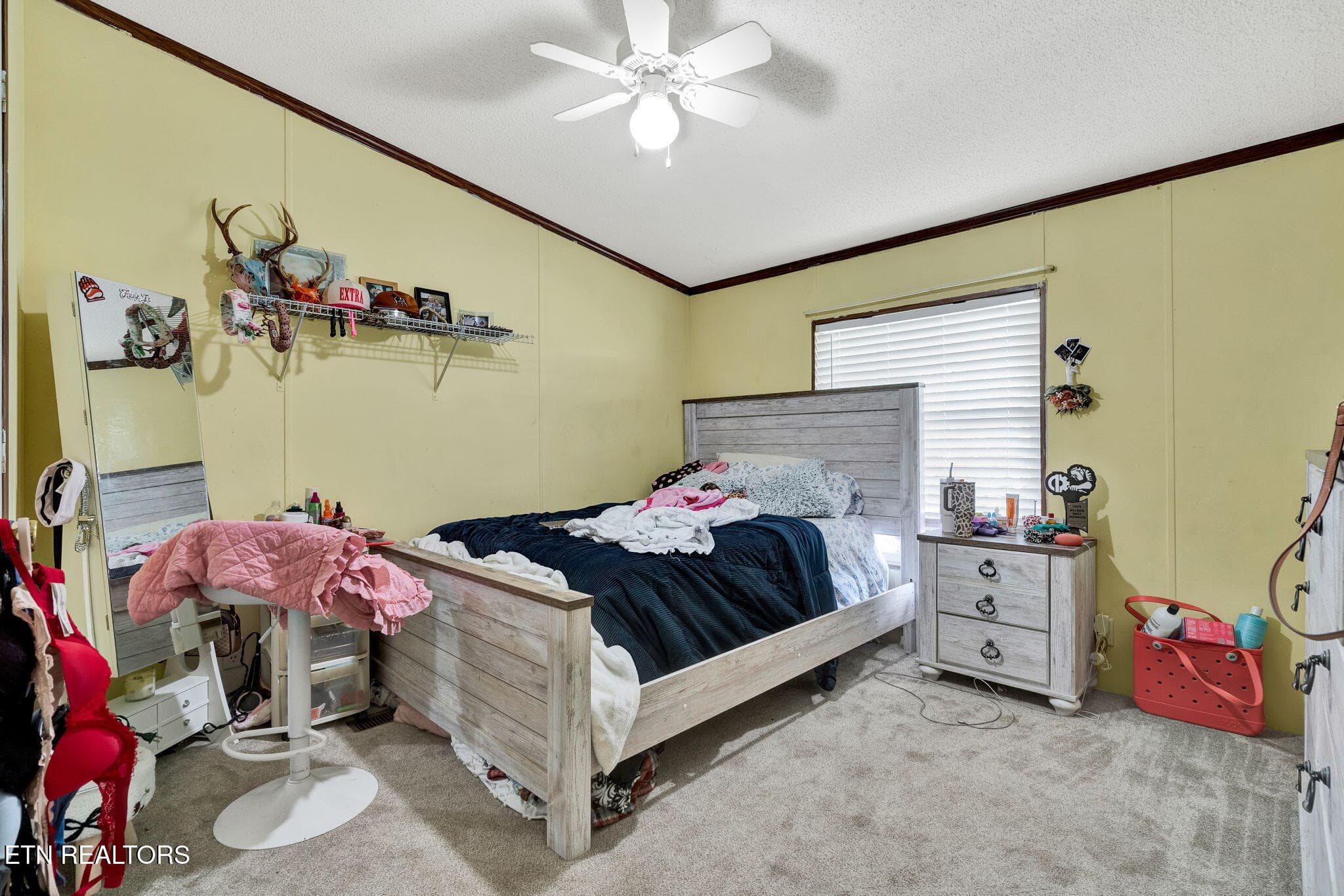 29-web-or-mls-DSC03535 - 850 Blythe Ferry Lane, Georgetown, TN 37336, Georgetown