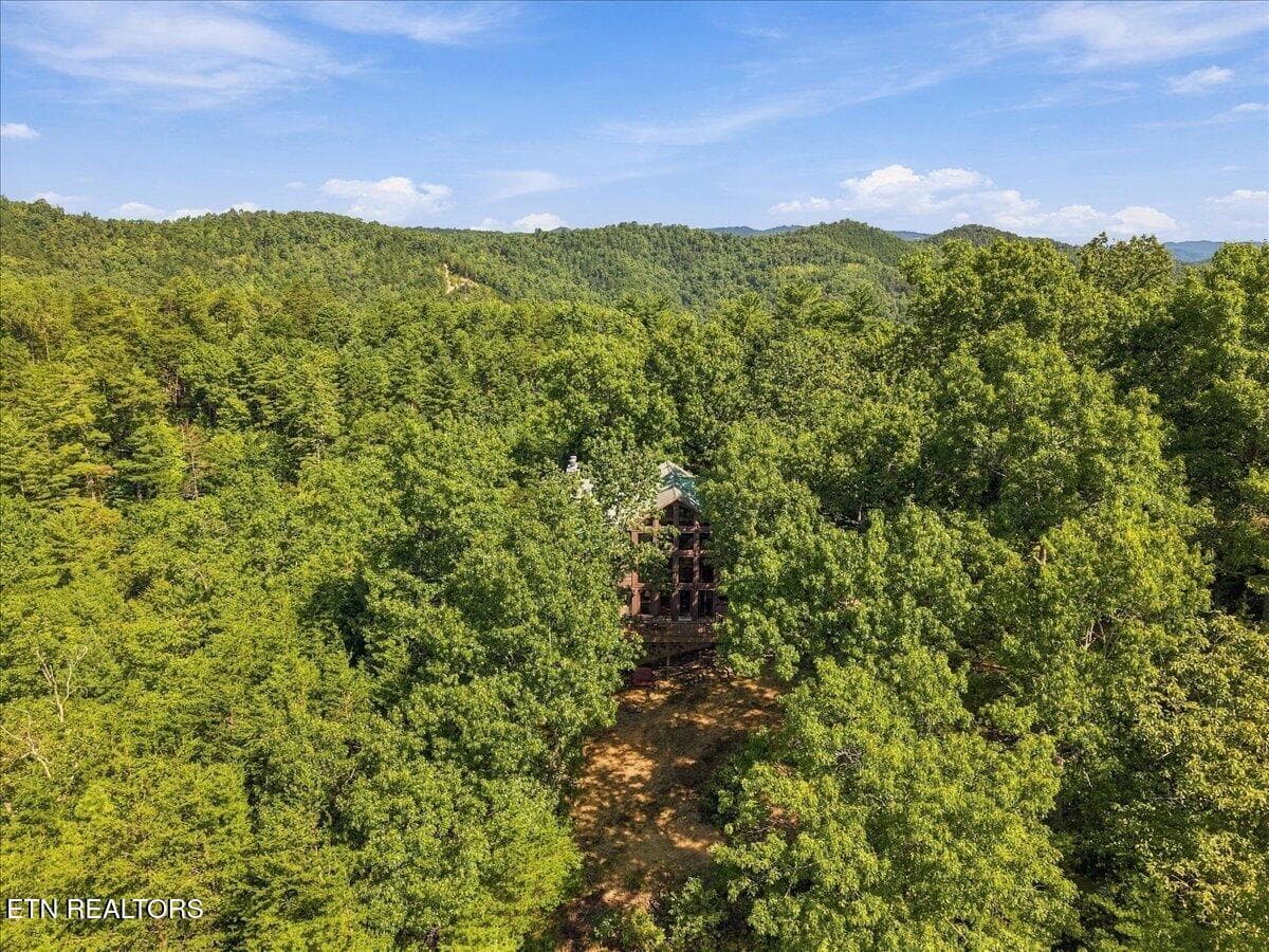 Aerial View - 504 Twin Oak Mtn Lane, Townsend, TN 37882, Townsend