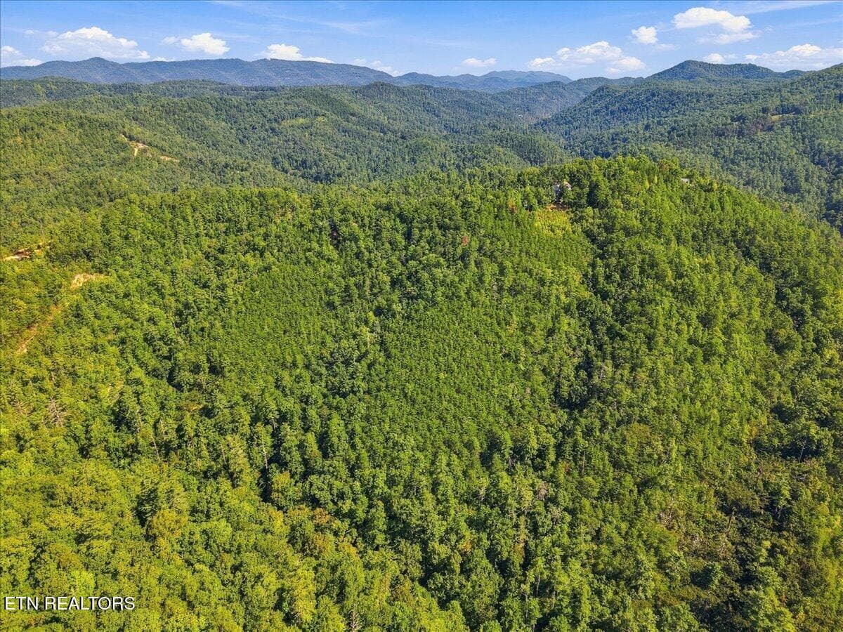 Aerial View - 504 Twin Oak Mtn Lane, Townsend, TN 37882, Townsend