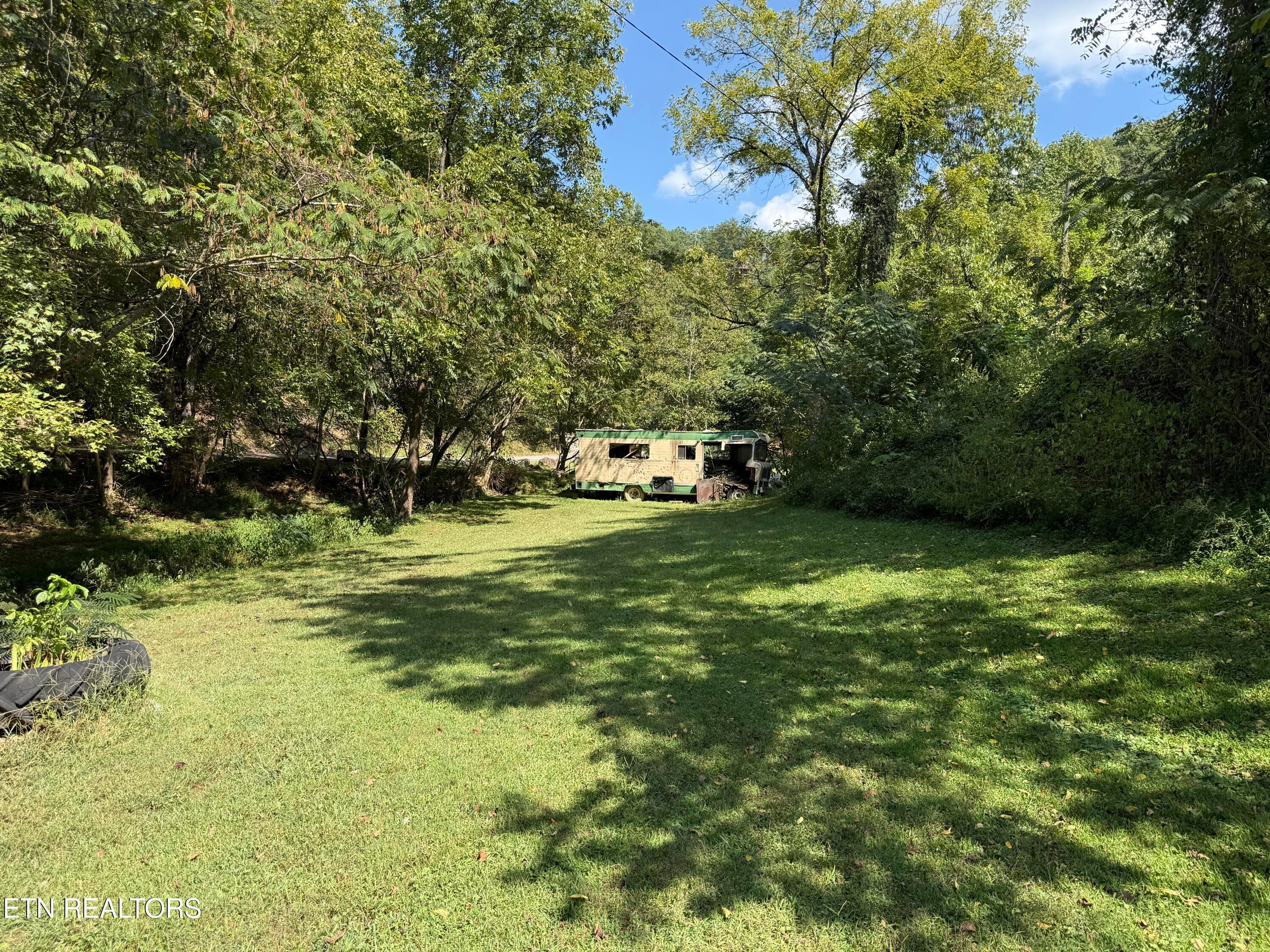 IMG_1724 - 1069 Bryan View Rd, Sevierville, TN 37862, Sevierville