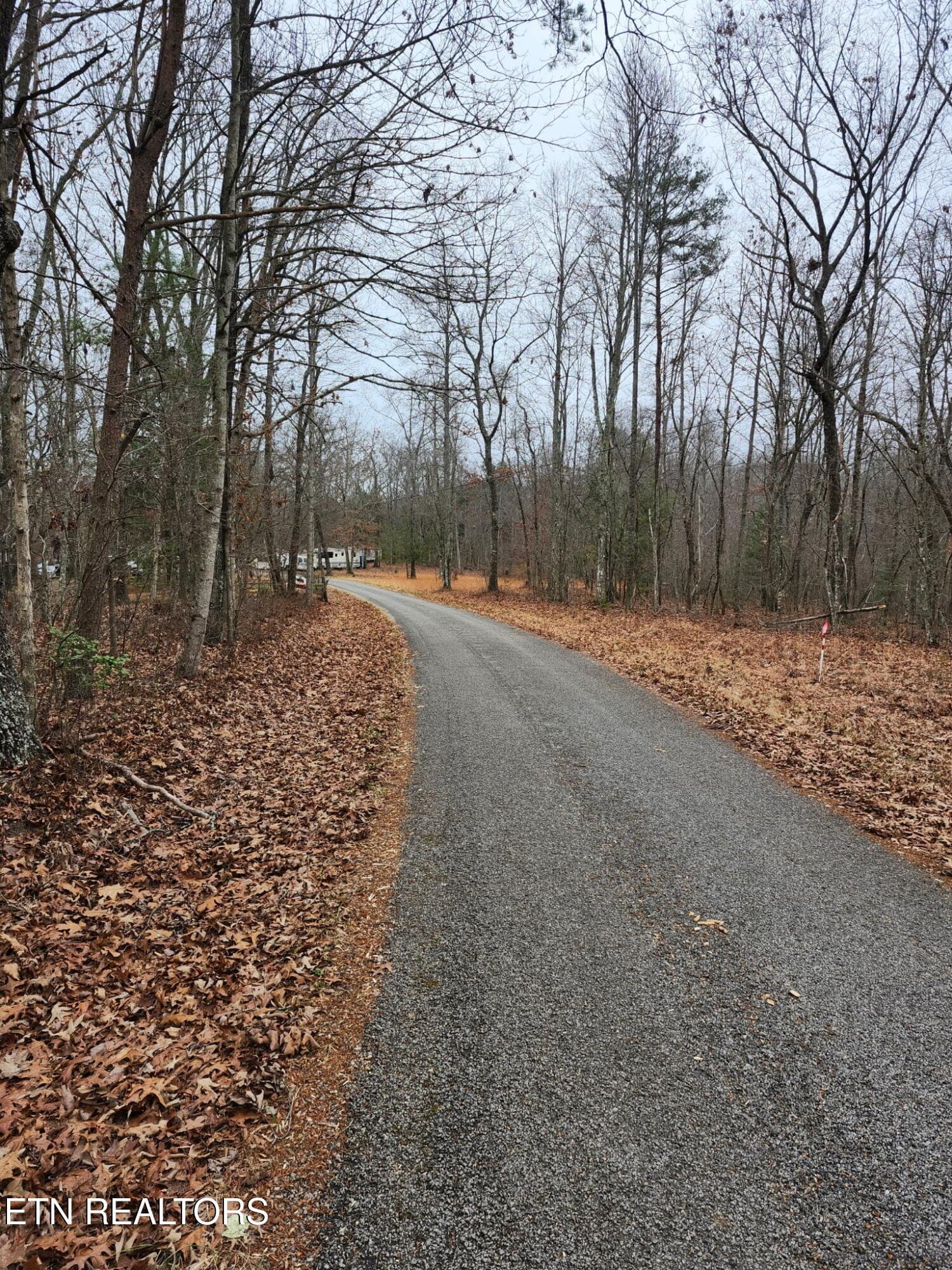 1000054480 - Peacock Rd, Deer Lodge, TN 37726, Deer Lodge