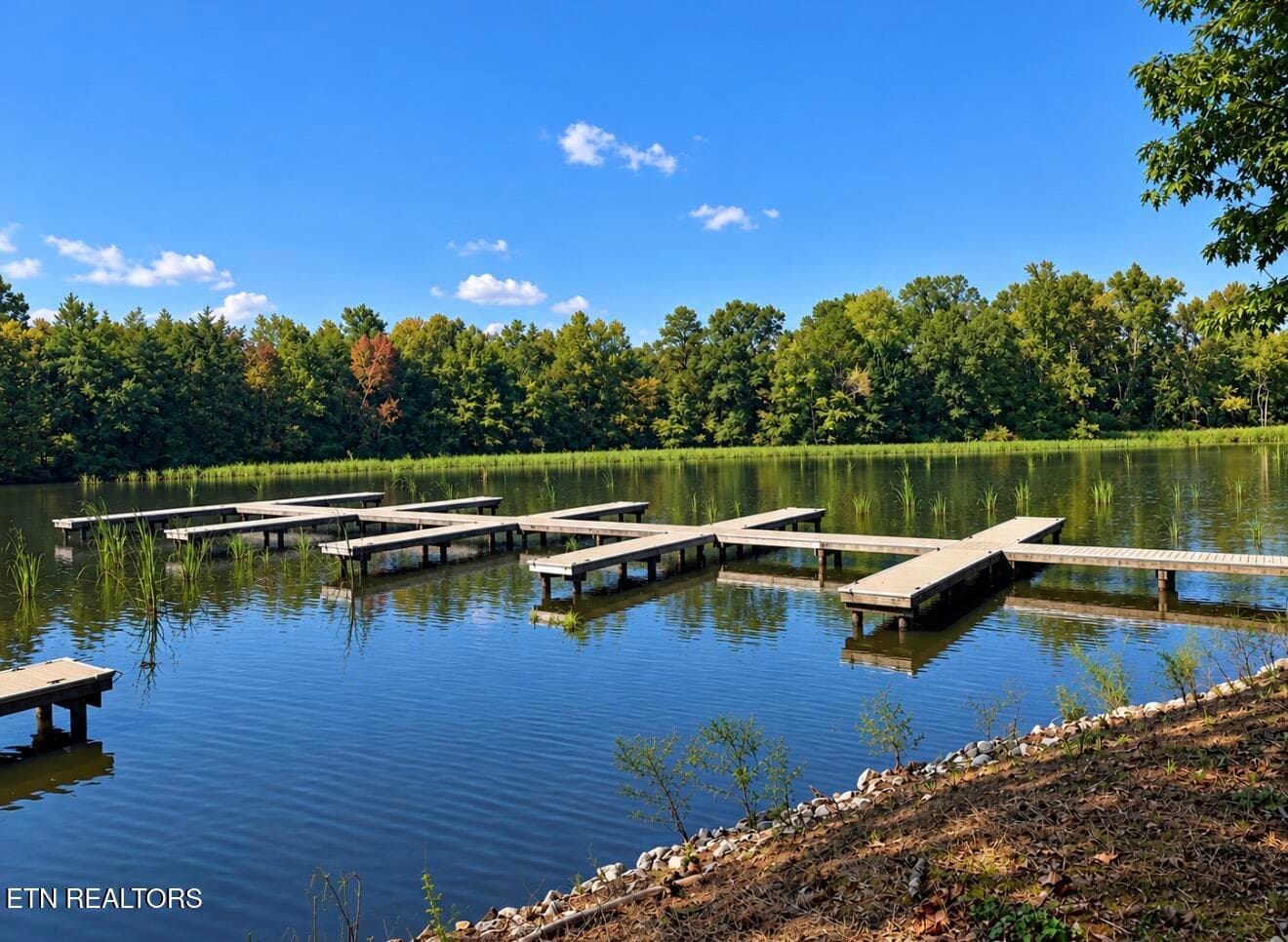 IMG_5736 - The Gates Drive, Decatur, TN 37322