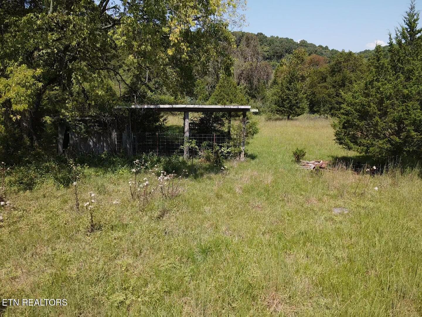 DNDW1542 - 549 Raccoon Valley Rd, Powell, TN 37849, Powell