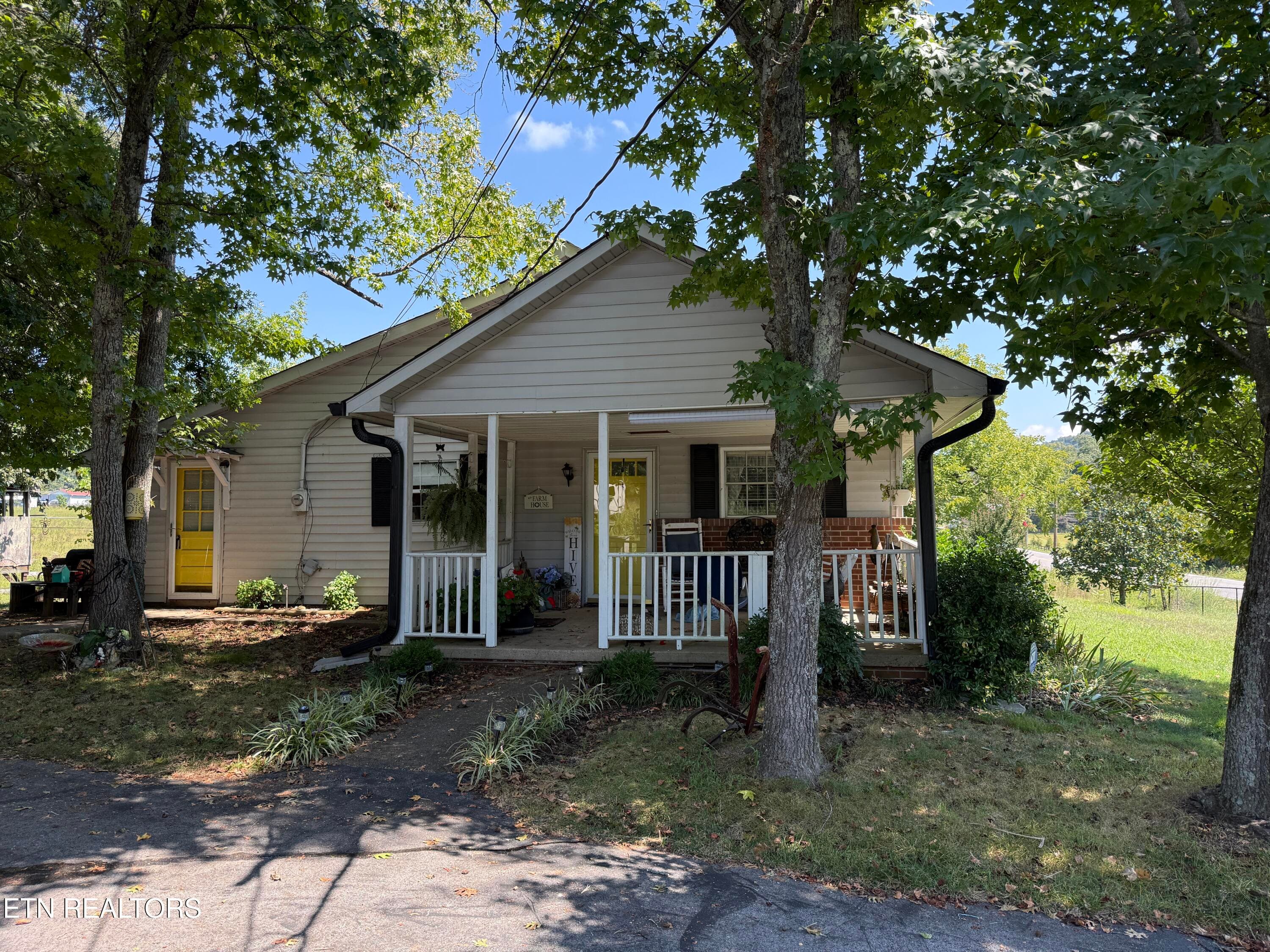 IMG_0853 - 549 Raccoon Valley Rd, Powell, TN 37849, Powell