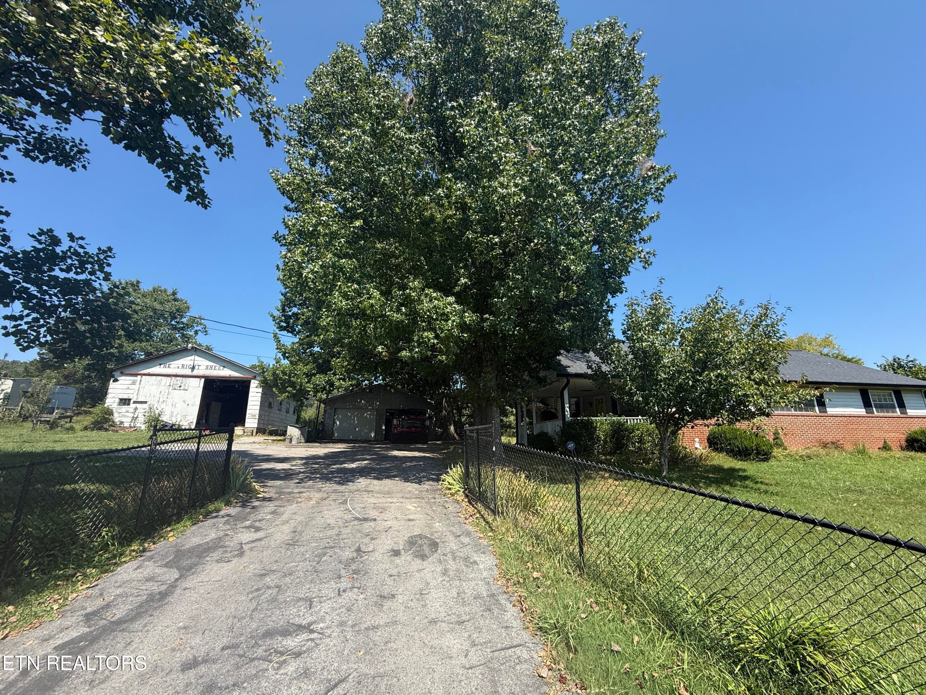 IMG_0856 - 549 Raccoon Valley Rd, Powell, TN 37849, Powell