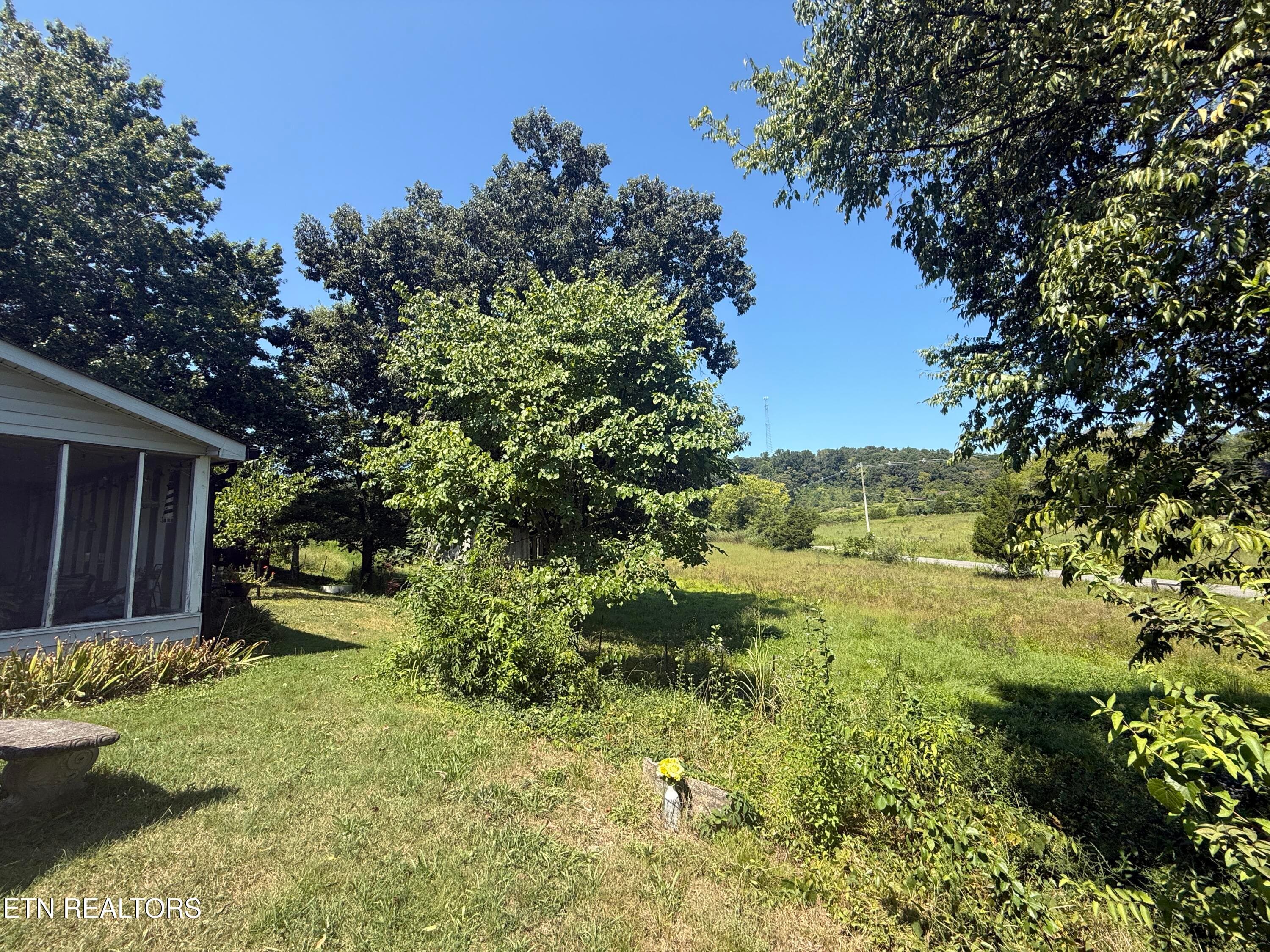 IMG_0861 - 549 Raccoon Valley Rd, Powell, TN 37849, Powell