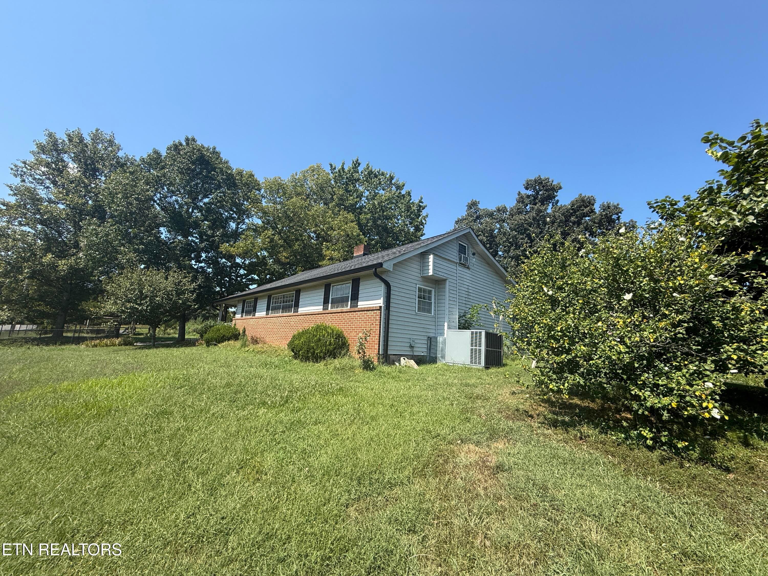 IMG_0864 - 549 Raccoon Valley Rd, Powell, TN 37849, Powell