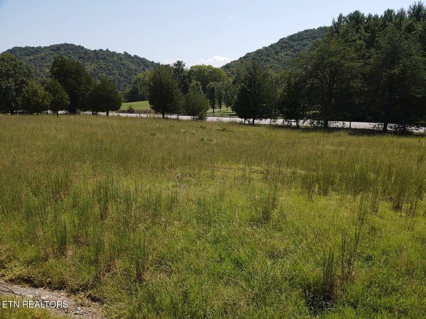 STBC8322 - 549 Raccoon Valley Rd, Powell, TN 37849, Powell