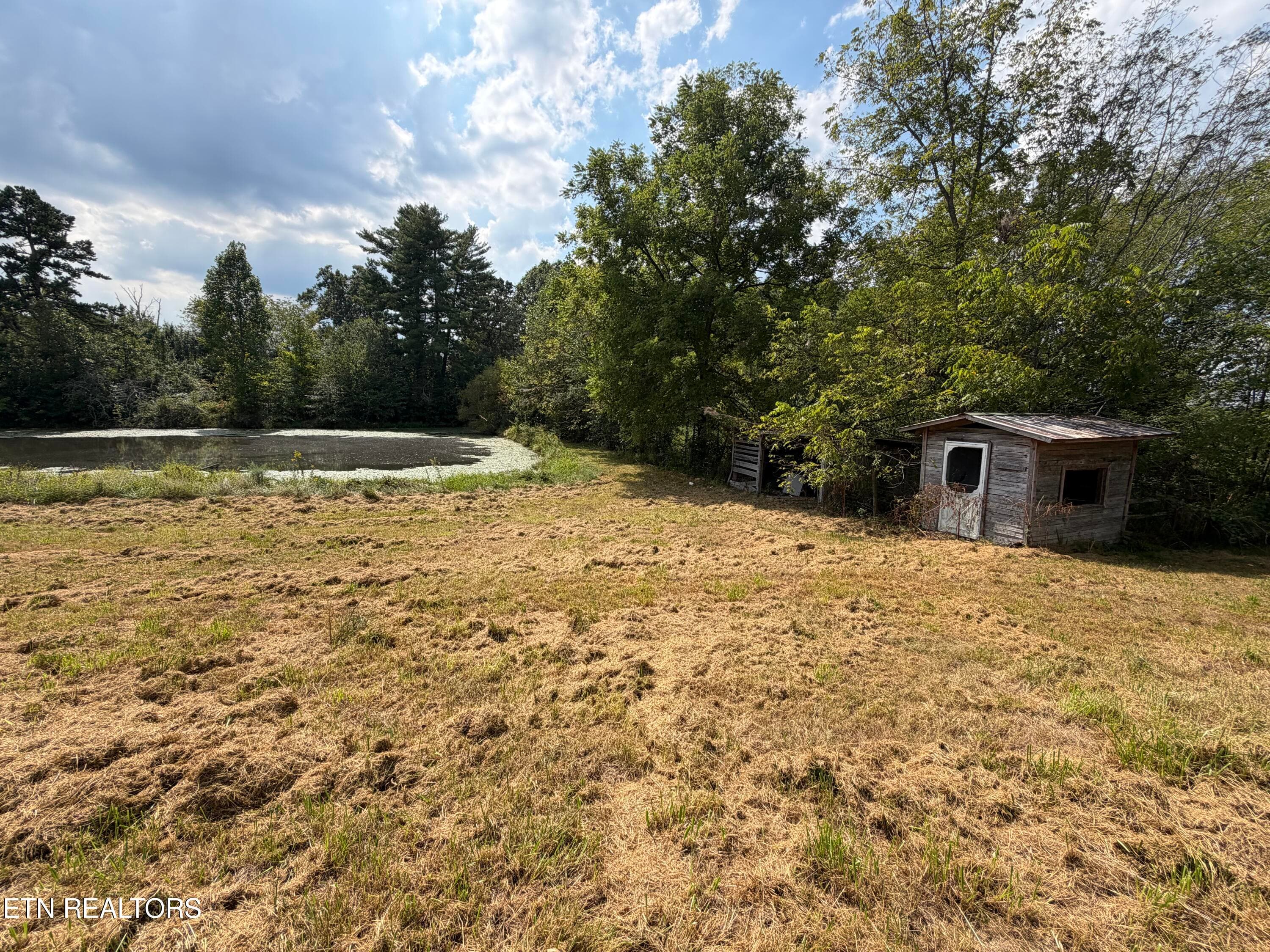 IMG_0415 - 6111 Nashville Hwy, Deer Lodge, TN 37726, Deer Lodge