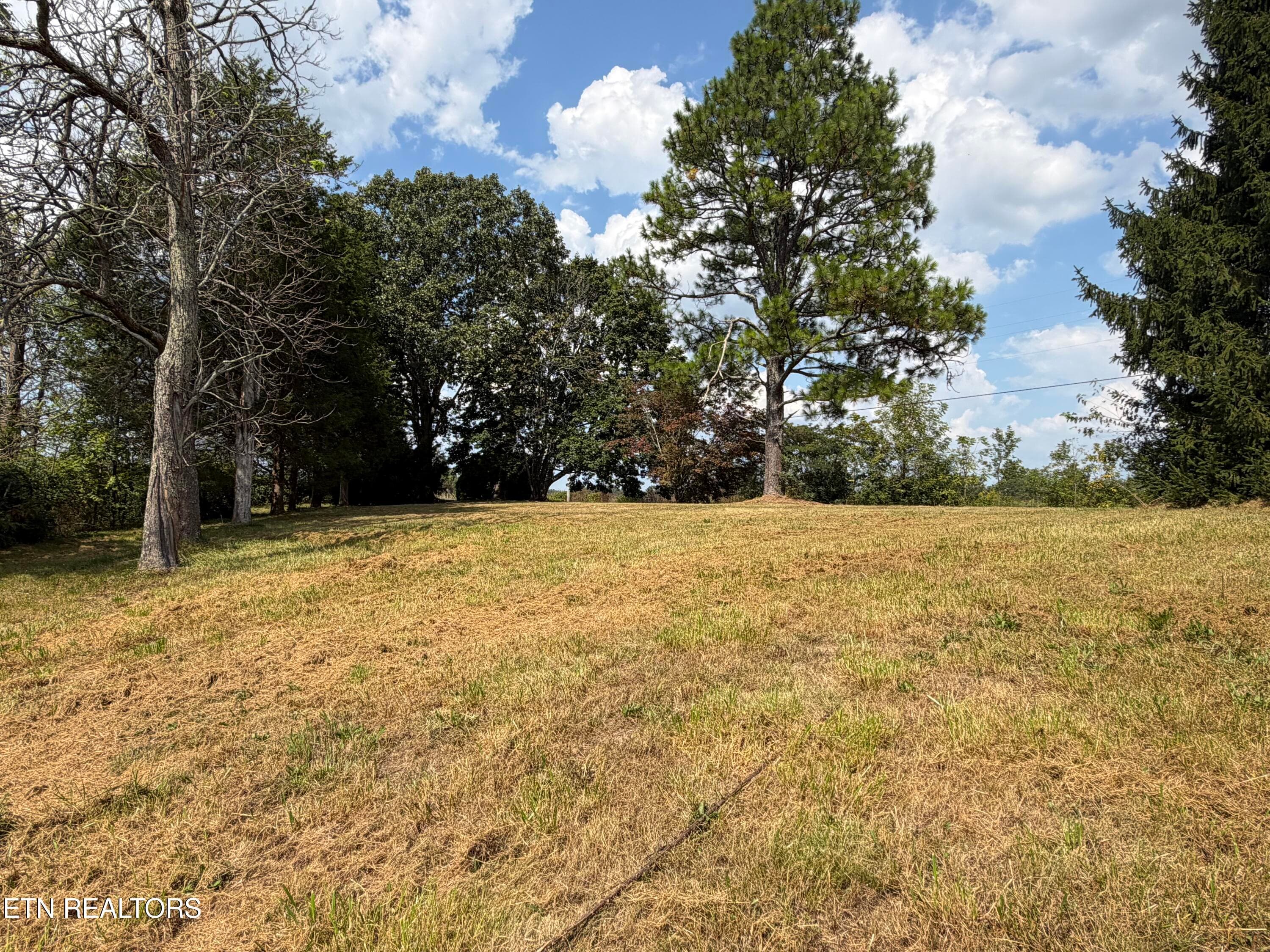 IMG_0419 - 6111 Nashville Hwy, Deer Lodge, TN 37726, Deer Lodge
