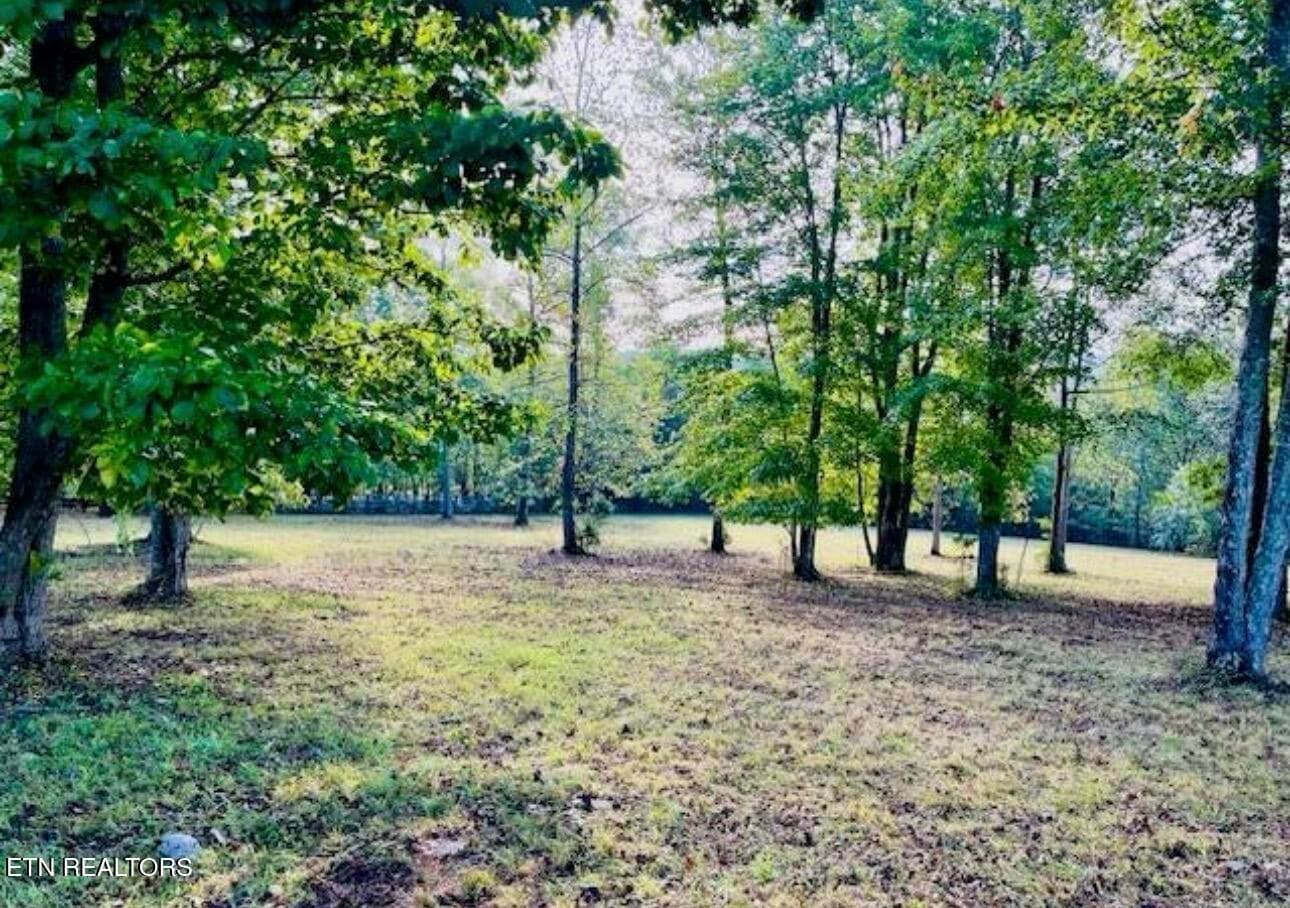 IMG_6010 - 156 Enclave Way, Kingston, TN 37763, Kingston