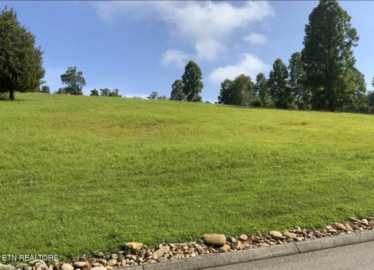 IMG_6013 - 156 Enclave Way, Kingston, TN 37763, Kingston