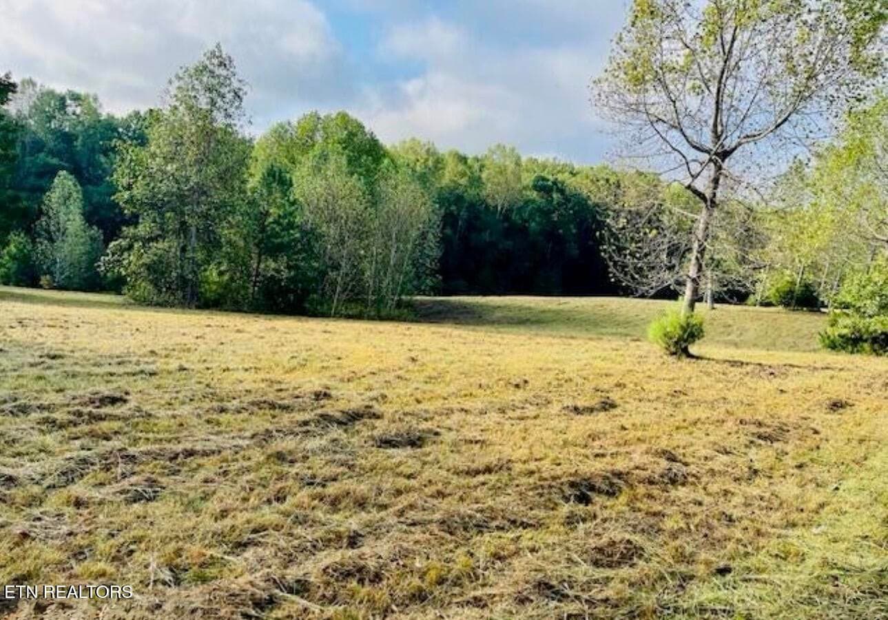 IMG_6009 - 156 Enclave Way, Kingston, TN 37763, Kingston