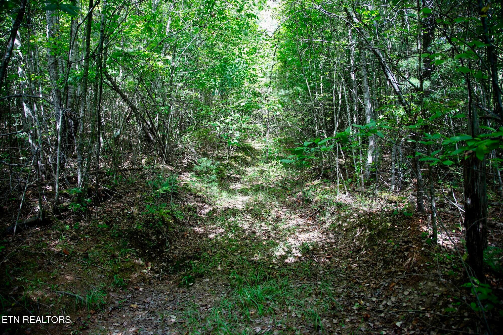 2 - 160 John Cox Rd, Deer Lodge, TN 37726