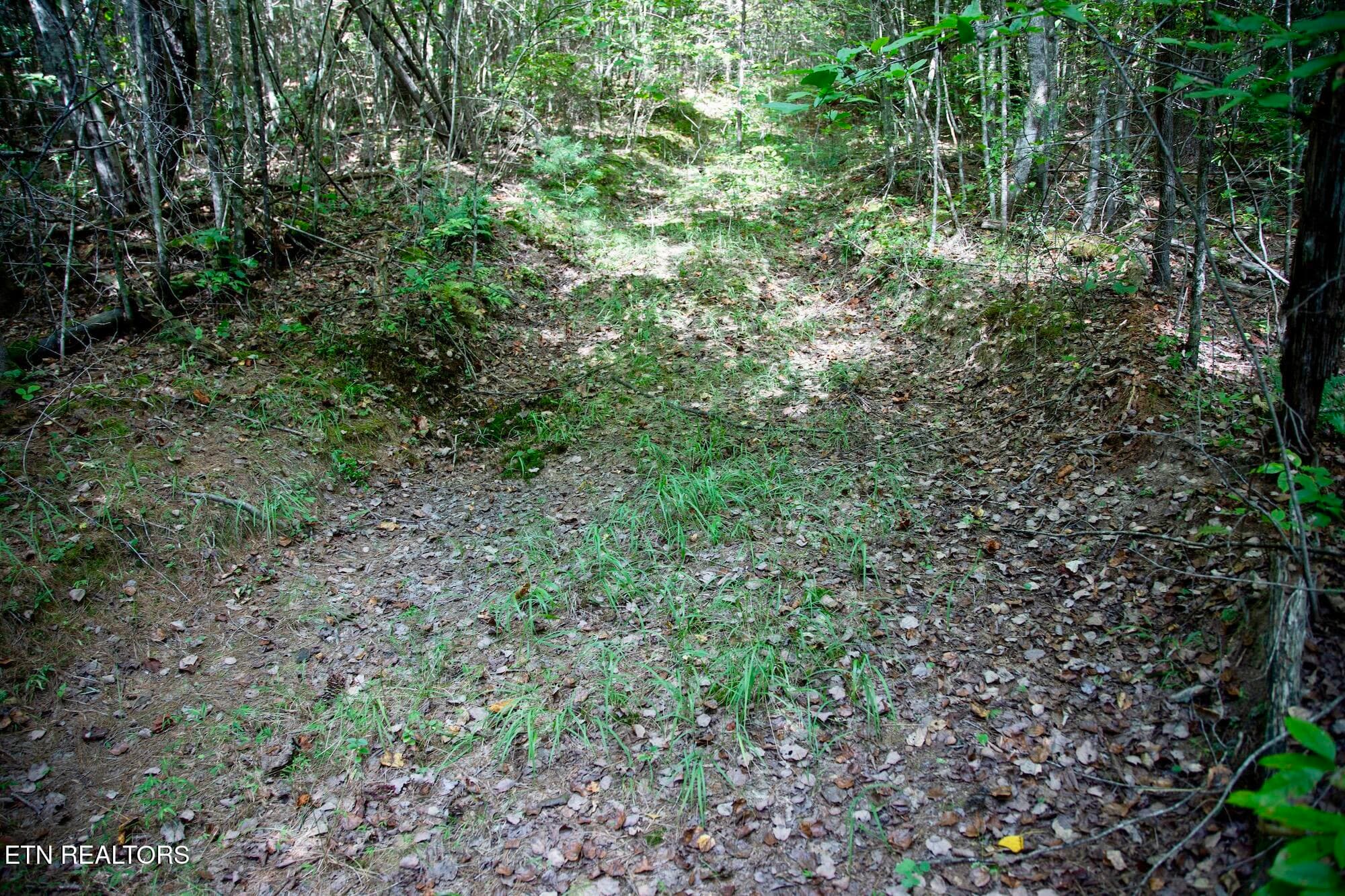 5 - 160 John Cox Rd, Deer Lodge, TN 37726