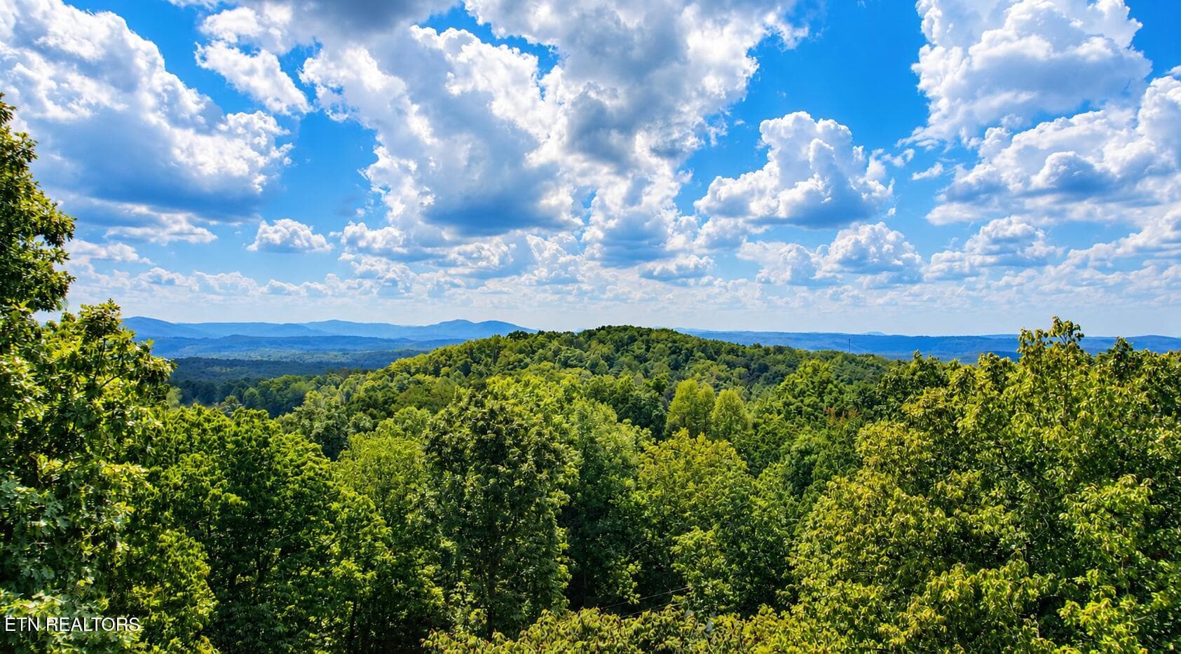 1153 Ditney Trail - 1153 Ditney Tr, Pioneer, TN 37847, Pioneer