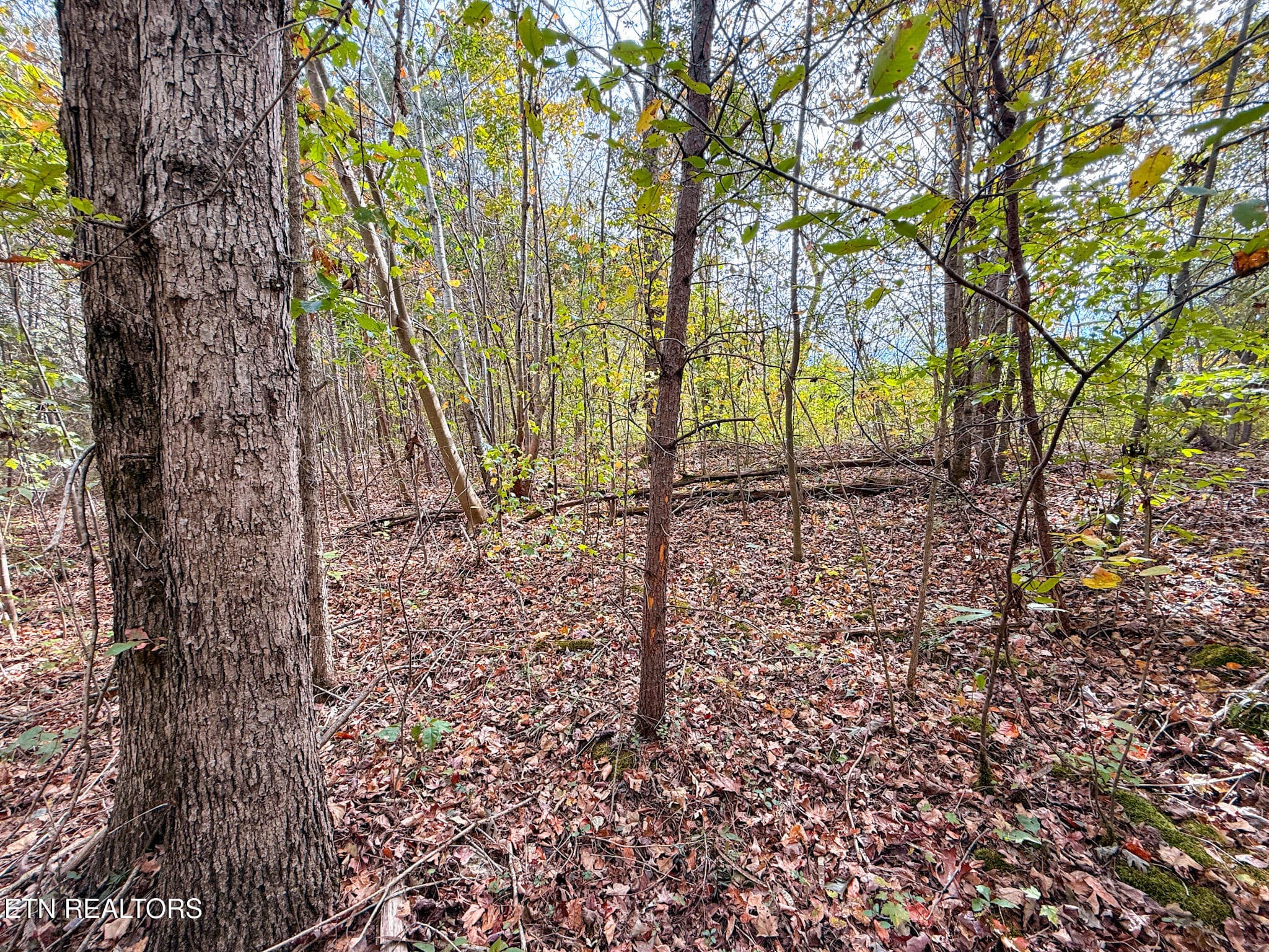 2.6 - Co Rd 475, Etowah, TN 37331