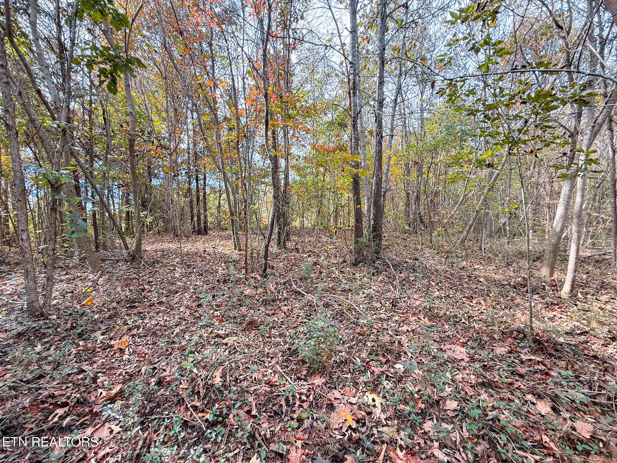 2.5 - Co Rd 475, Etowah, TN 37331