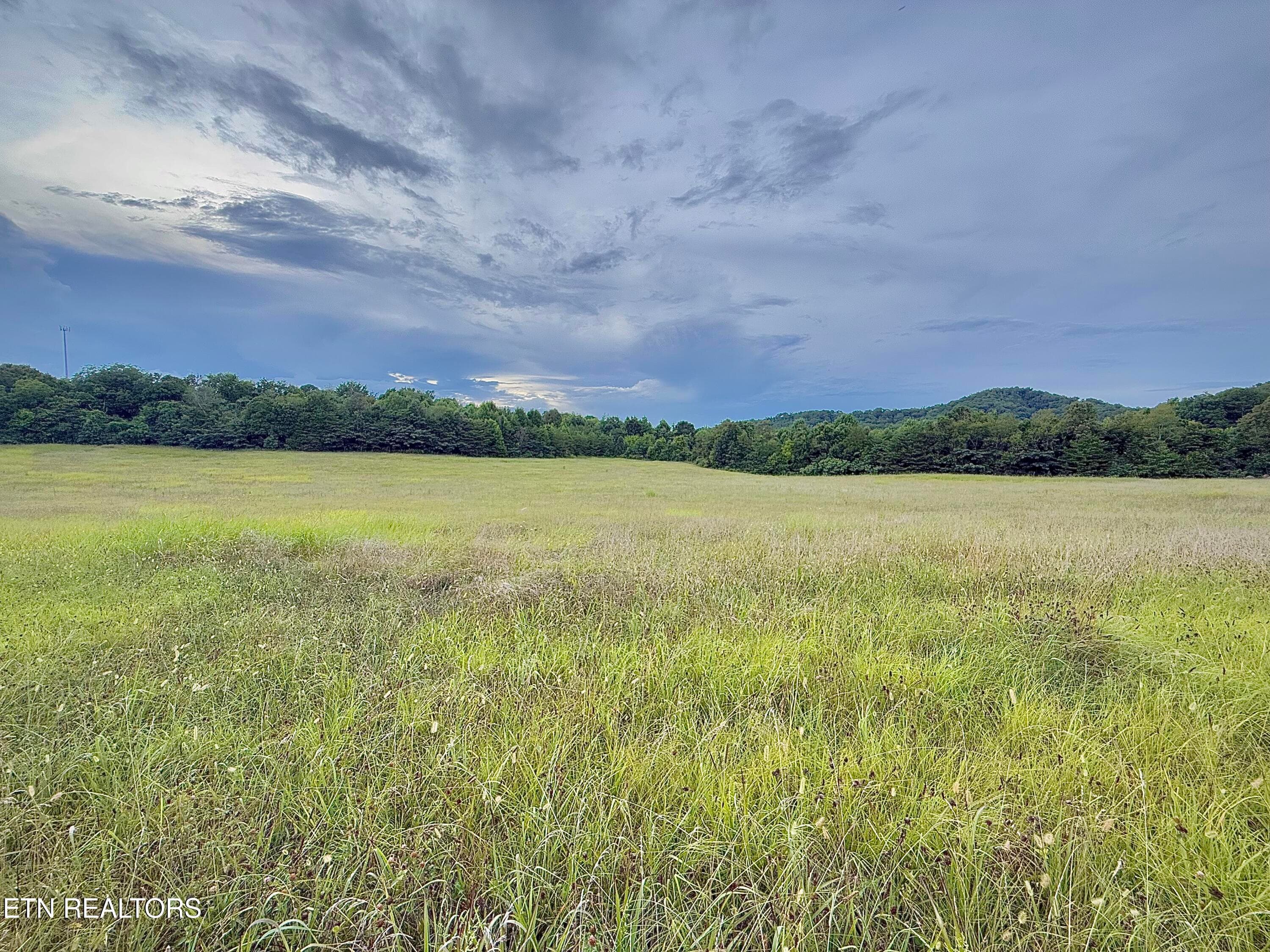 Copy of 13 - Co Rd 475, Etowah, TN 37331