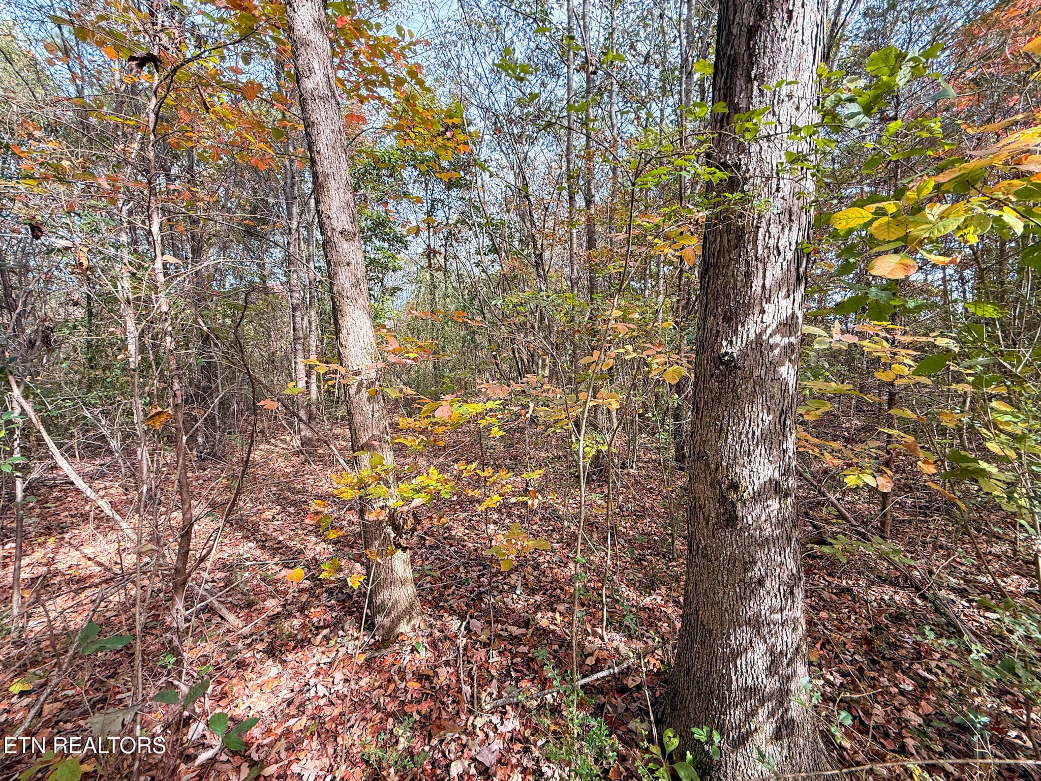 2.4 - Co Rd 475, Etowah, TN 37331
