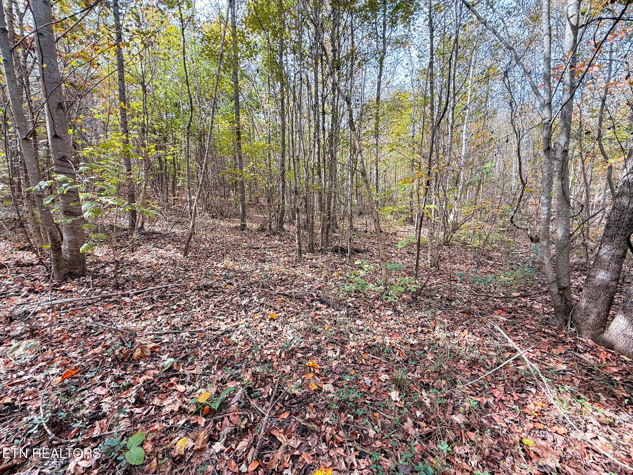 2.7 - Co Rd 475, Etowah, TN 37331