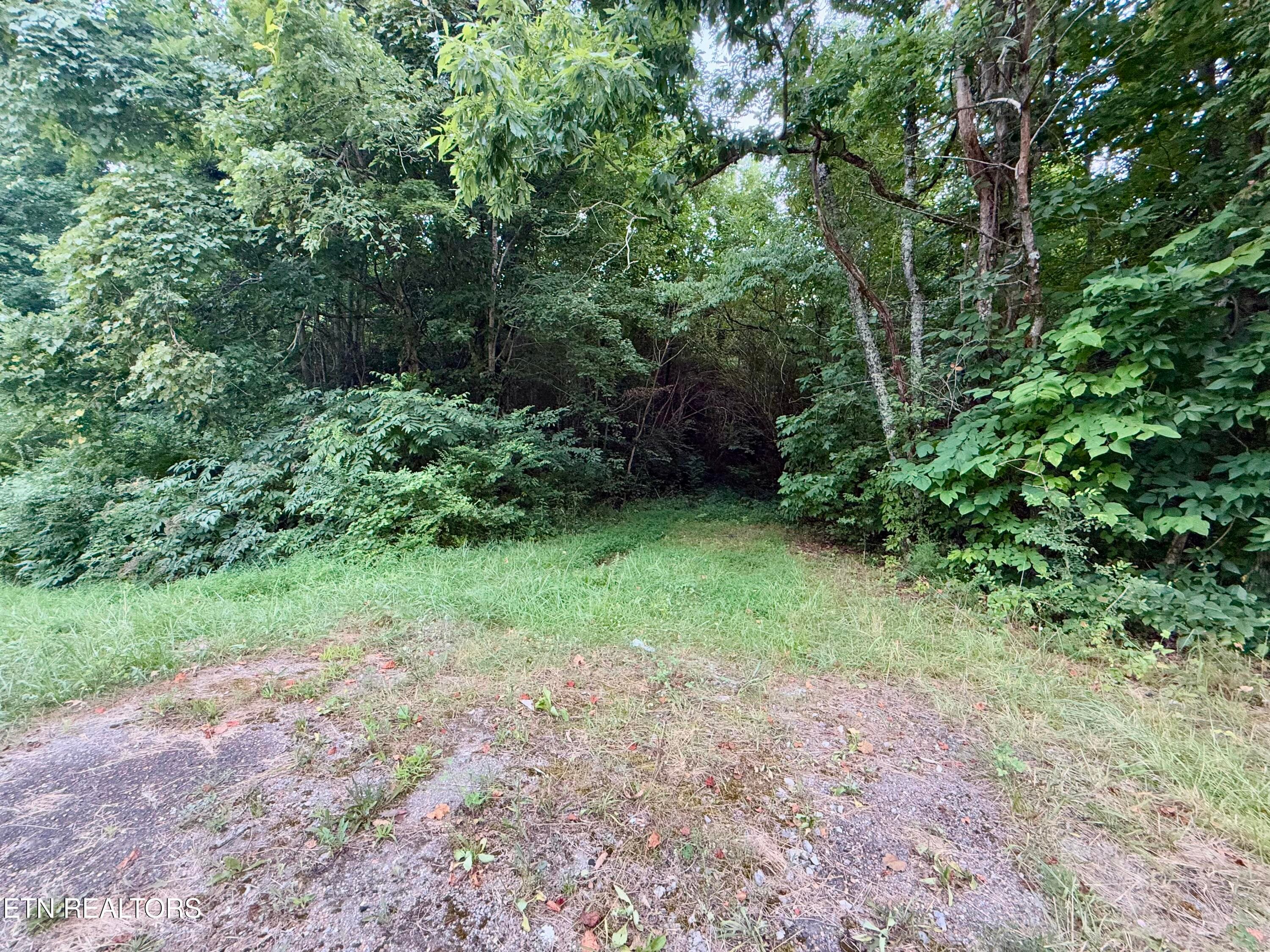 18 - Co Rd 475, Etowah, TN 37331
