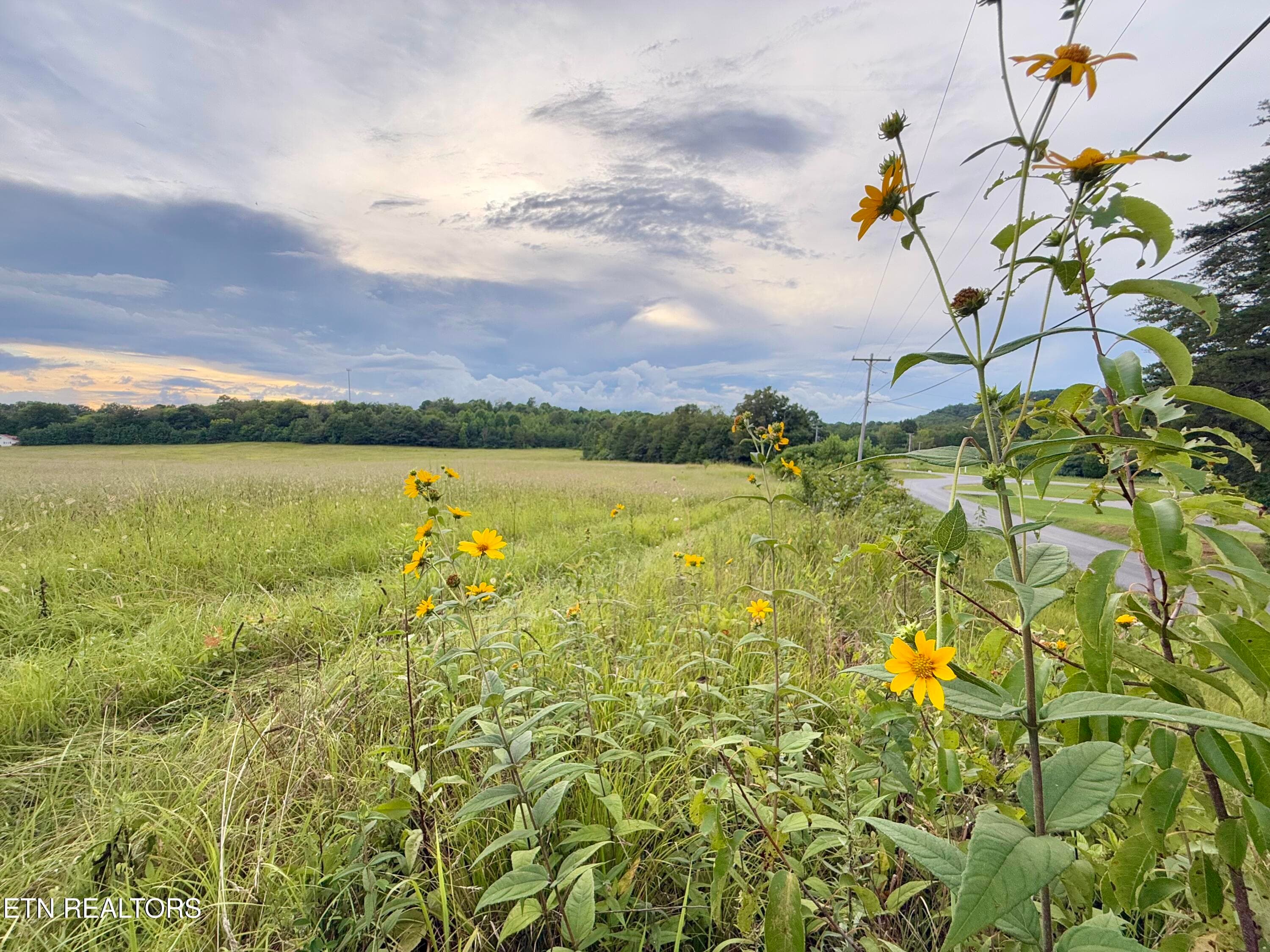 IMG_0747 - Co Rd 475, Etowah, TN 37331