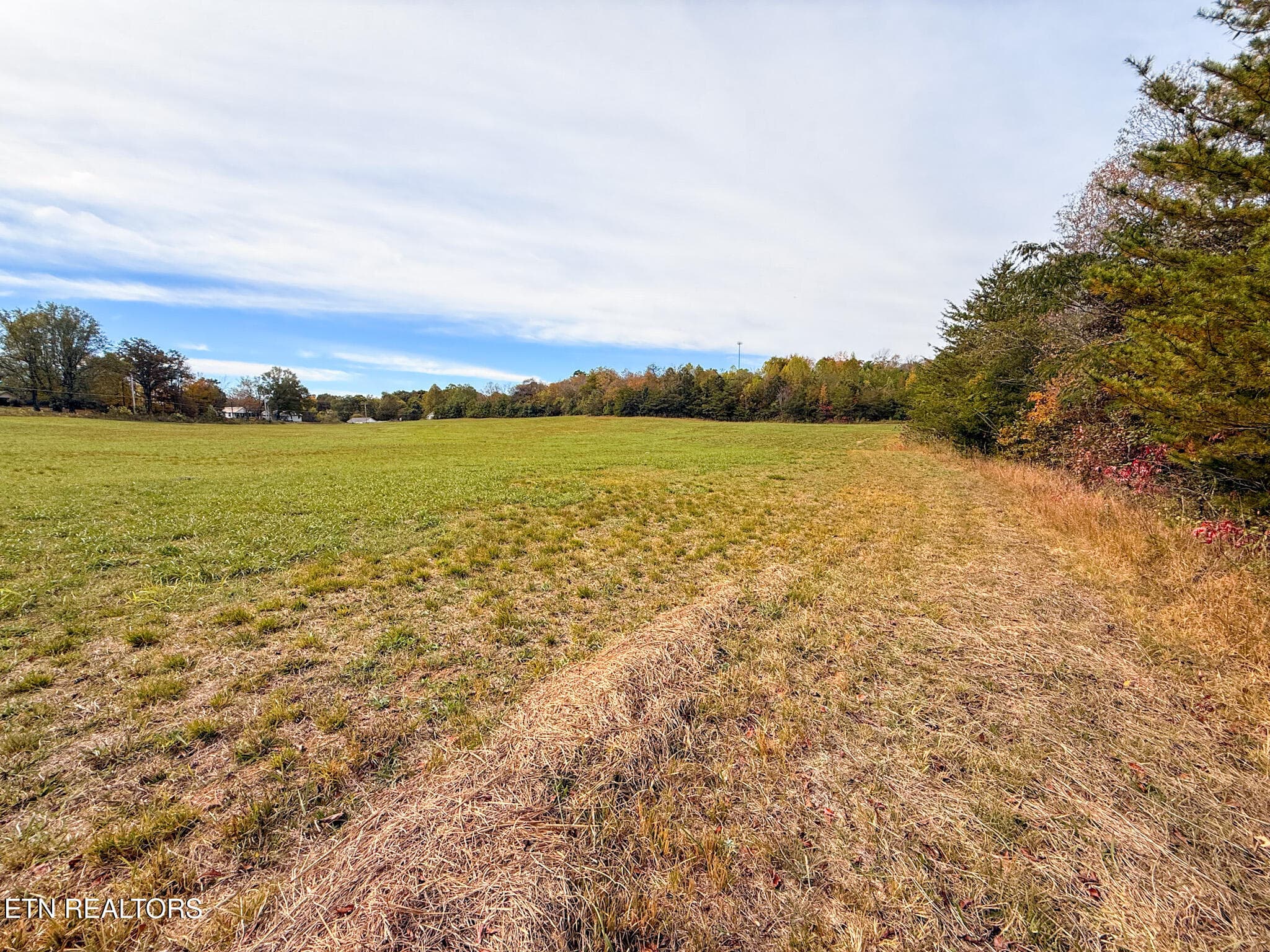 2.9 - Co Rd 475, Etowah, TN 37331