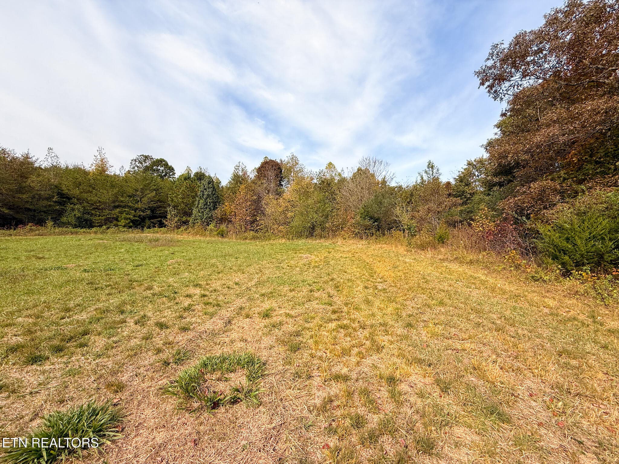 2.10 - Co Rd 475, Etowah, TN 37331