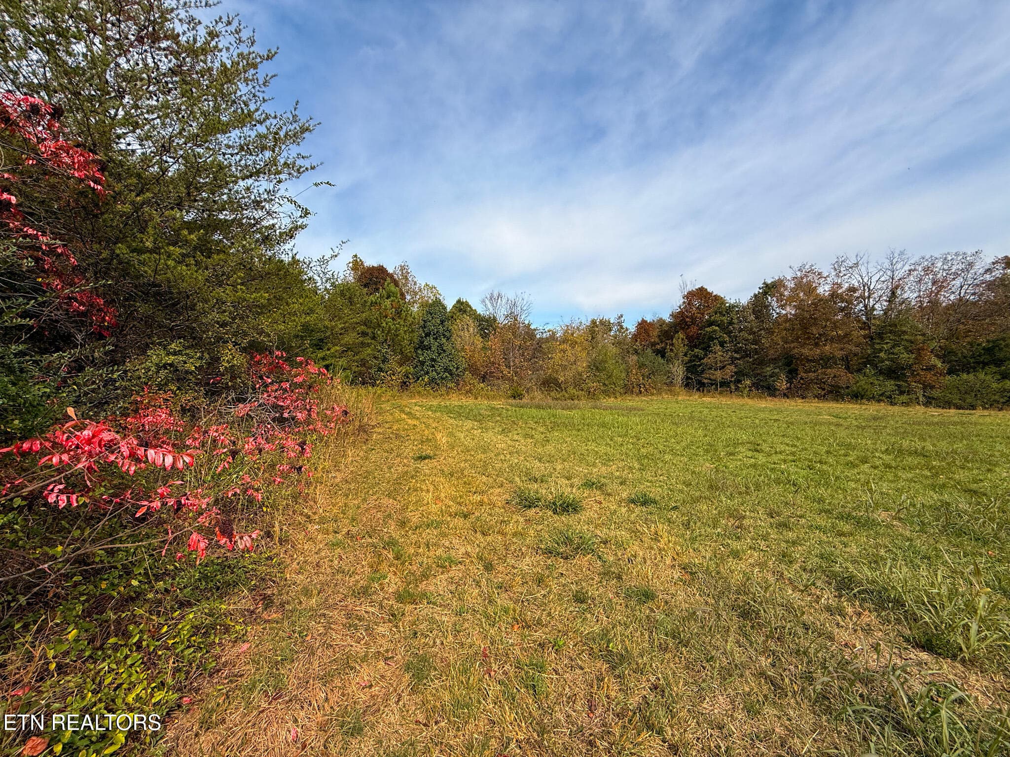 2.3 - Co Rd 475, Etowah, TN 37331