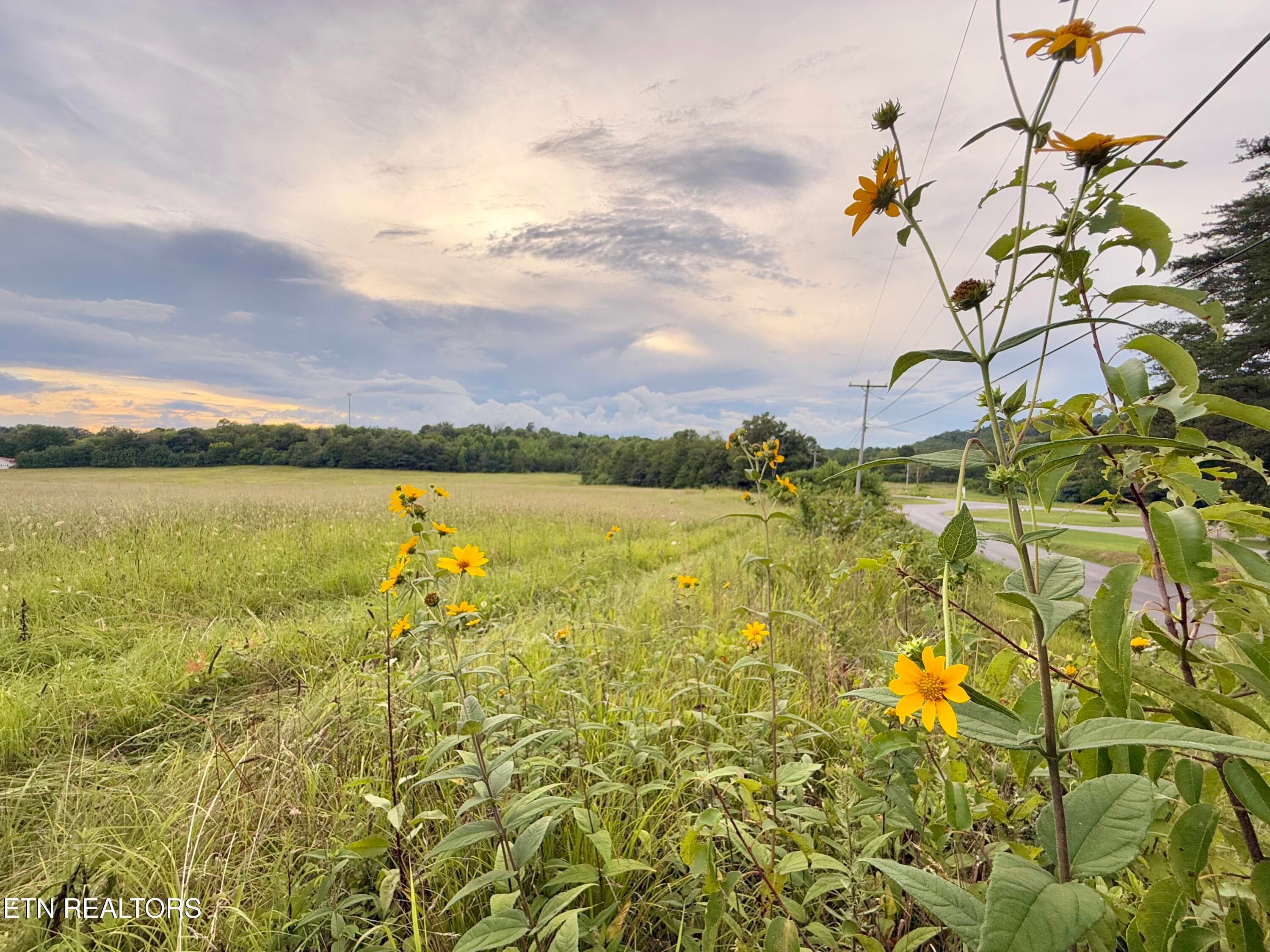 20 - Co Rd 475, Etowah, TN 37331
