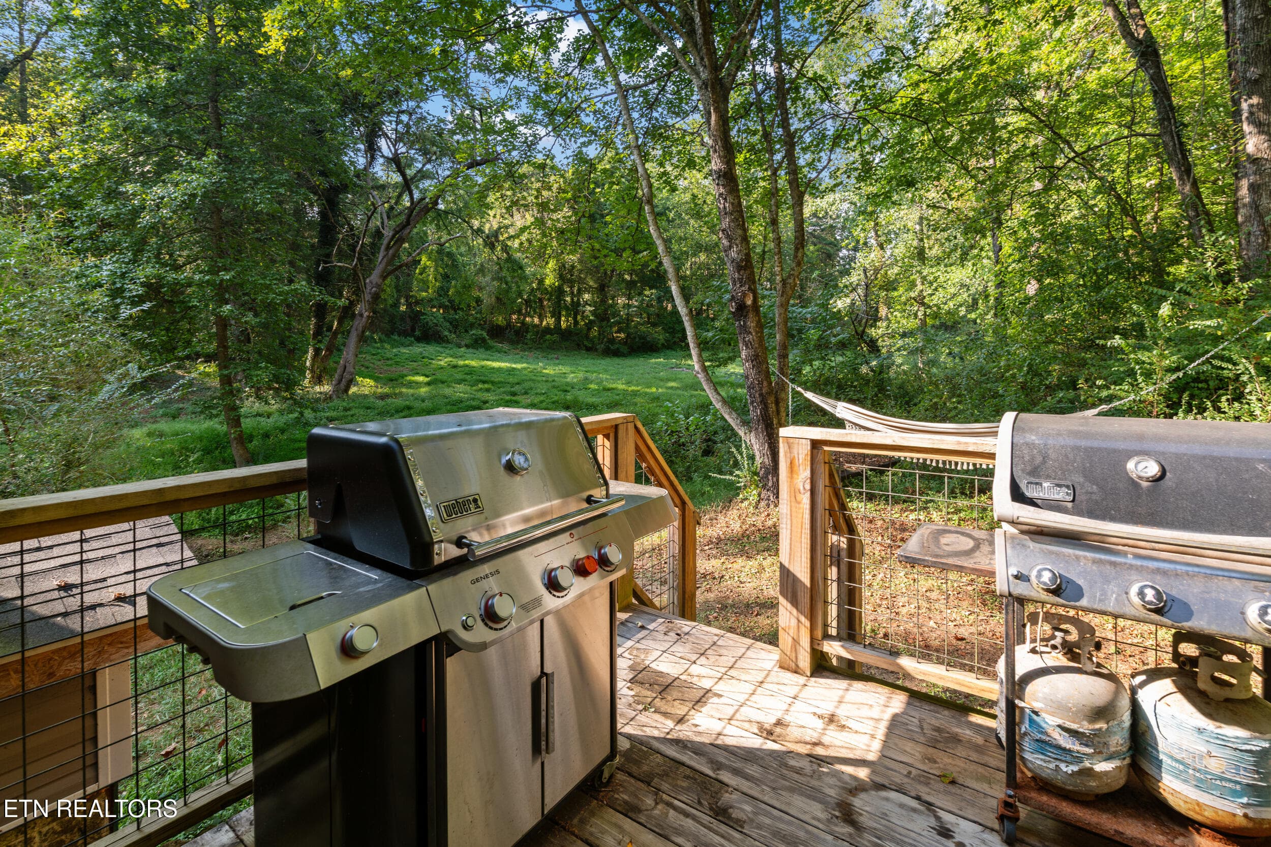 4331 cabbage drive-36 - 4331 Cabbage Drive, Knoxville, TN 37938, Knoxville