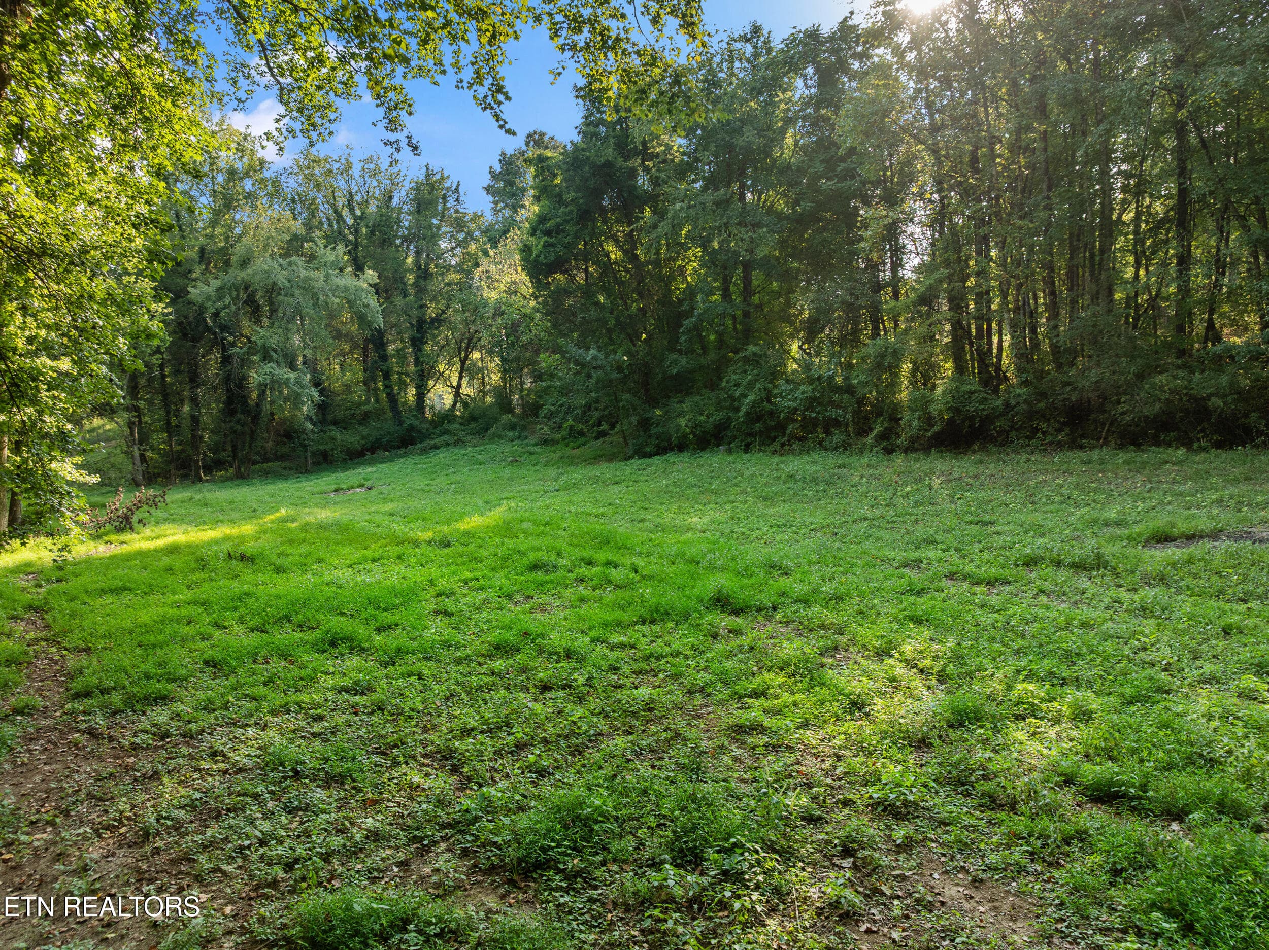 4331 cabbage drive-42 - 4331 Cabbage Drive, Knoxville, TN 37938, Knoxville