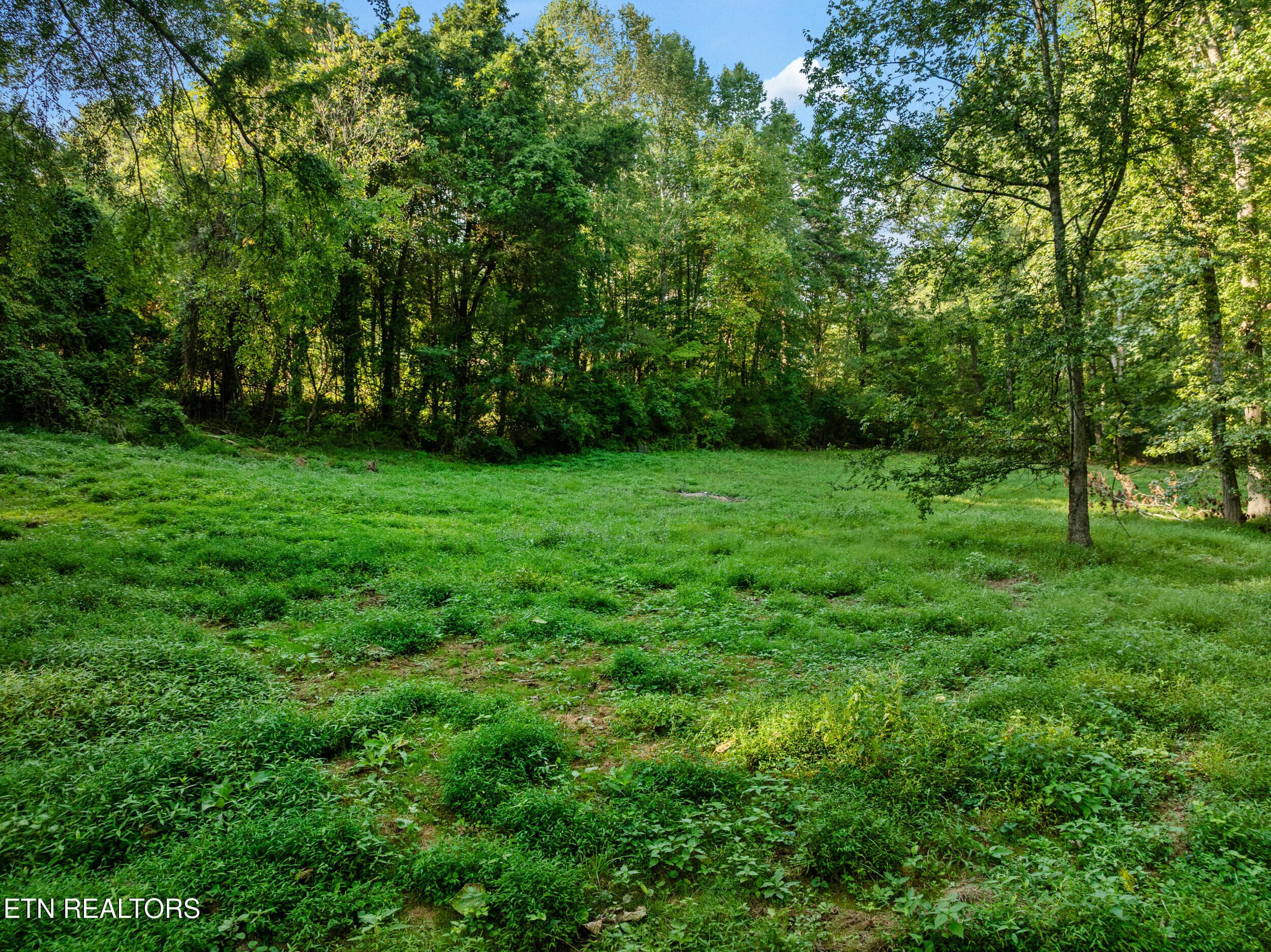 4331 cabbage drive-43 - 4331 Cabbage Drive, Knoxville, TN 37938, Knoxville