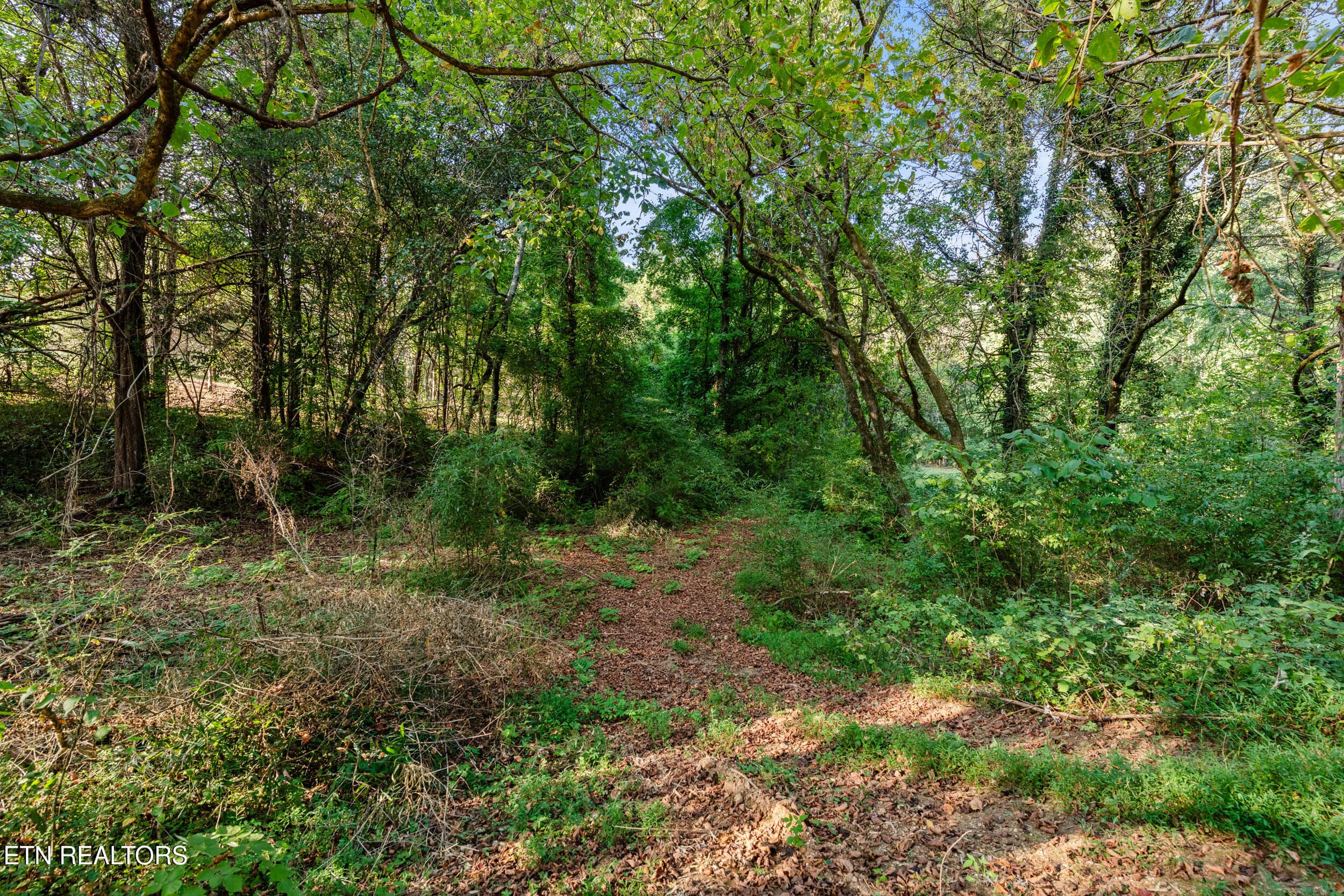 4331 cabbage drive-46 - 4331 Cabbage Drive, Knoxville, TN 37938, Knoxville