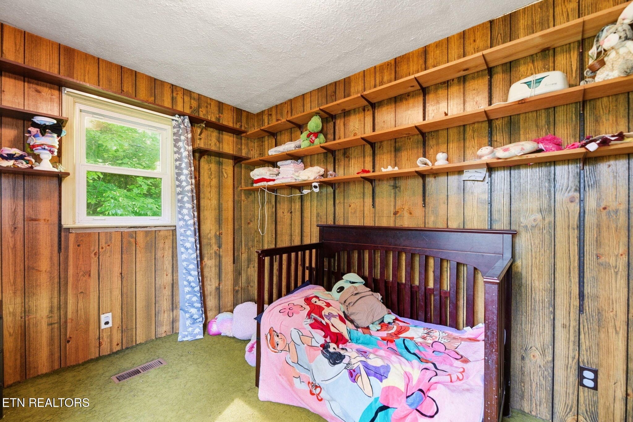 22-web-or-mls-DSC_4899 - 130 Sunshine Drive, Rocky Top, TN 37769, Rocky Top