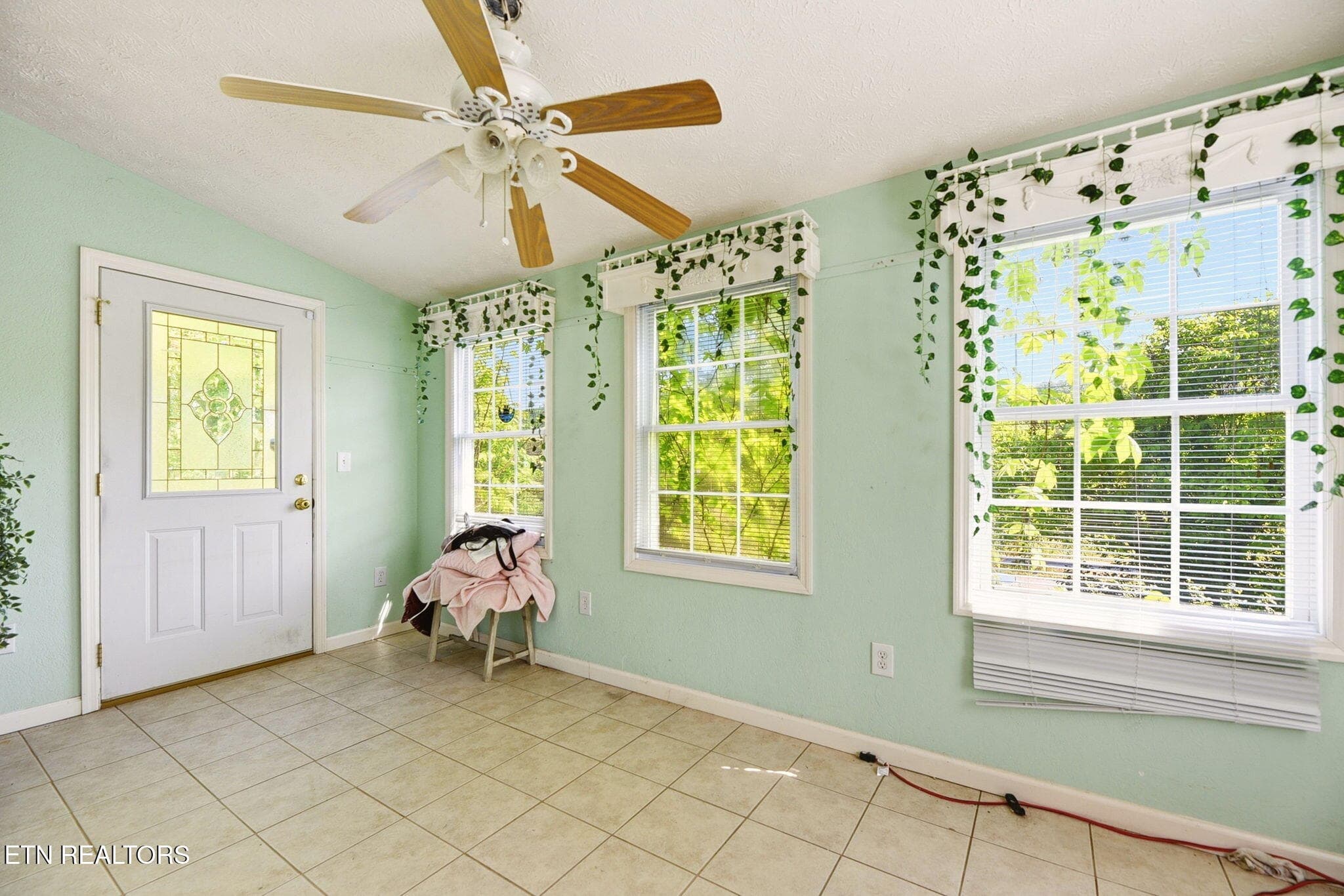 20-web-or-mls-DSC_4893 - 130 Sunshine Drive, Rocky Top, TN 37769, Rocky Top