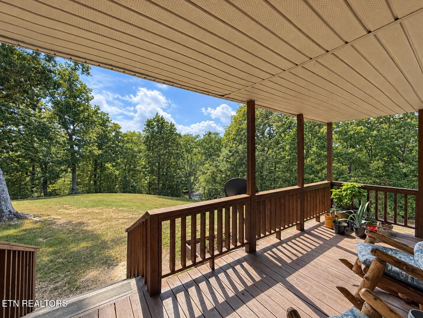 1153 Ditney Trail - 1153 Ditney Tr, Pioneer, TN 37847, Pioneer