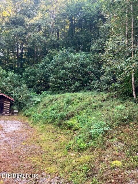 8 - 115&117 Sycamore Circle, Sneedville, TN 37869, Sneedville