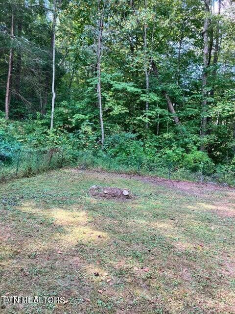 42 - 115&117 Sycamore Circle, Sneedville, TN 37869, Sneedville