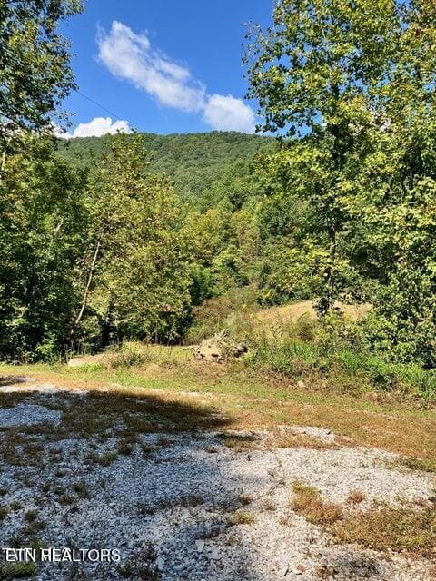 45 - 115&117 Sycamore Circle, Sneedville, TN 37869, Sneedville
