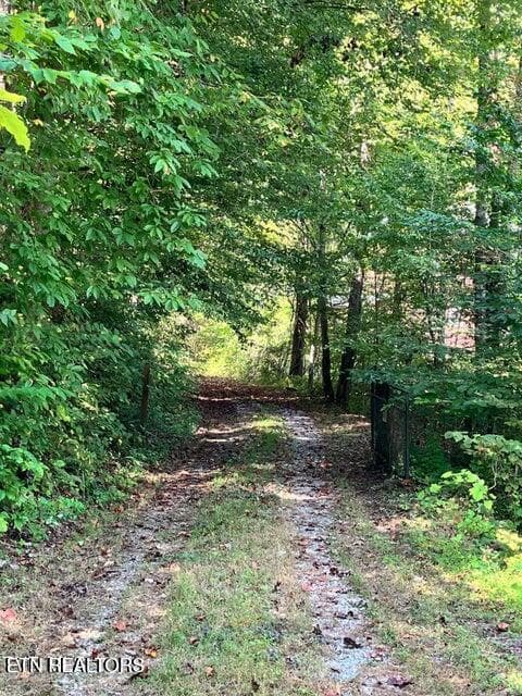 46 - 115&117 Sycamore Circle, Sneedville, TN 37869, Sneedville