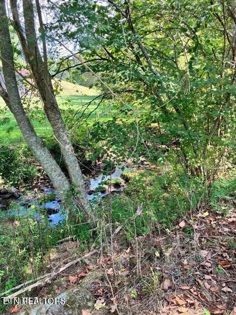48 - 115&117 Sycamore Circle, Sneedville, TN 37869, Sneedville