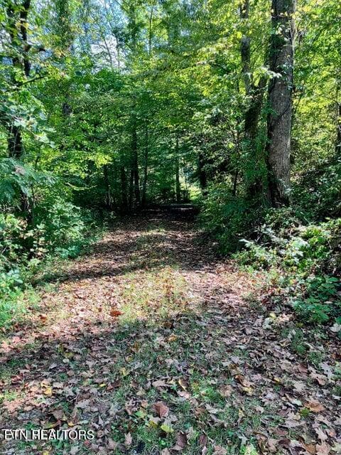 49 - 115&117 Sycamore Circle, Sneedville, TN 37869, Sneedville