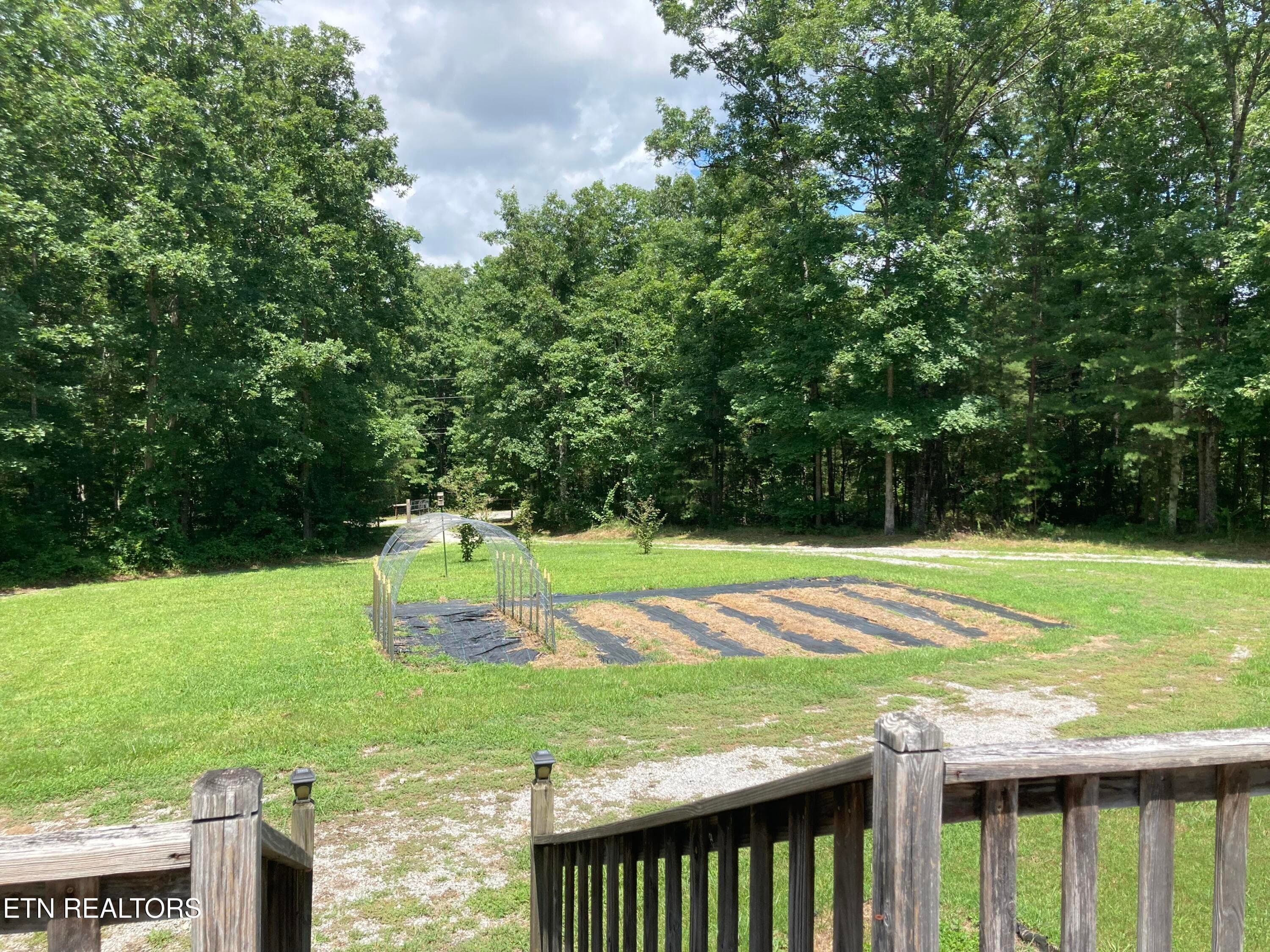 5 - 243 Rankin Rd, Deer Lodge, TN 37726, Deer Lodge