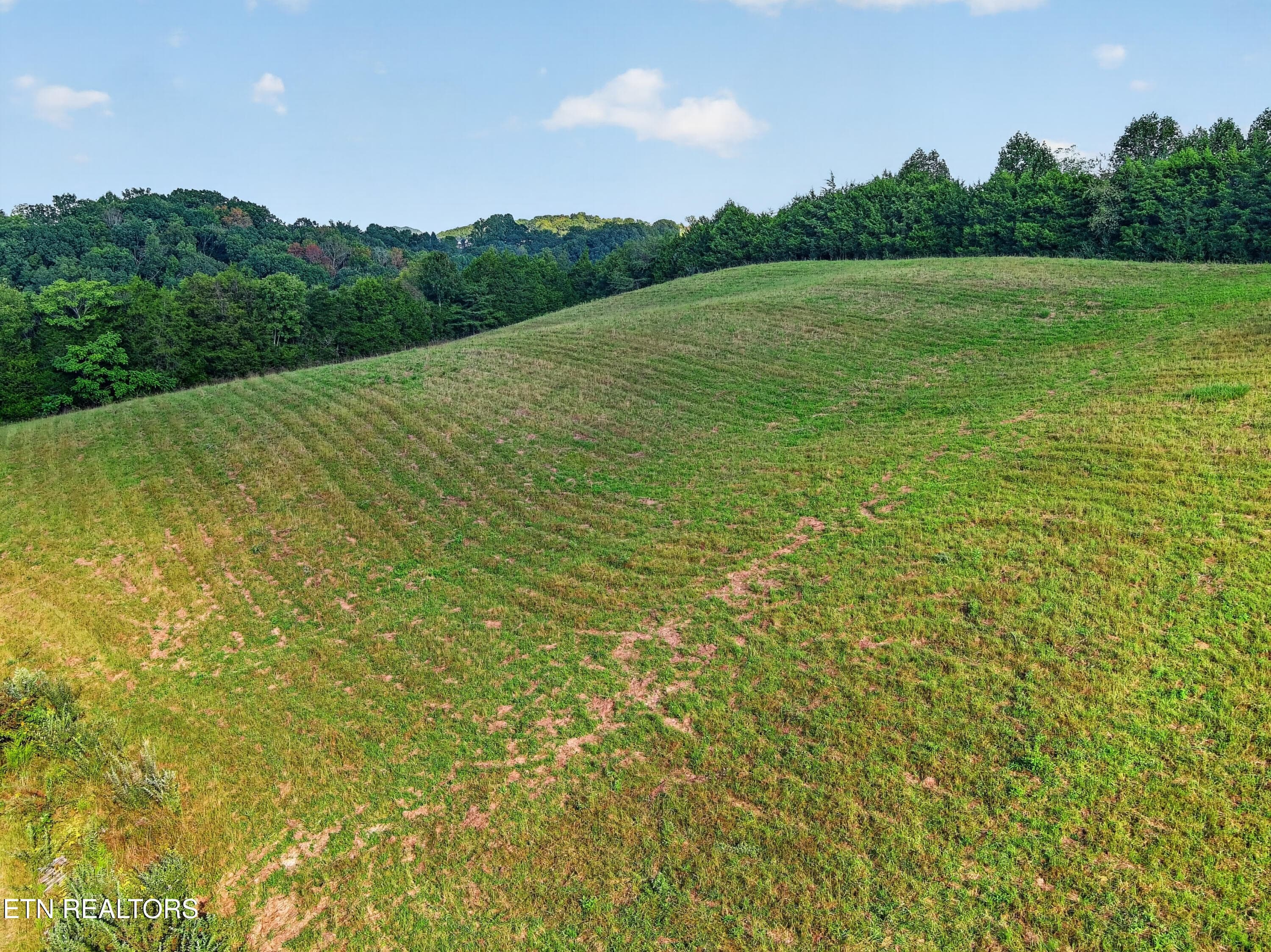 MAX_0160 - 000 FORGE RIDGE Rd, Harrogate, TN 37752