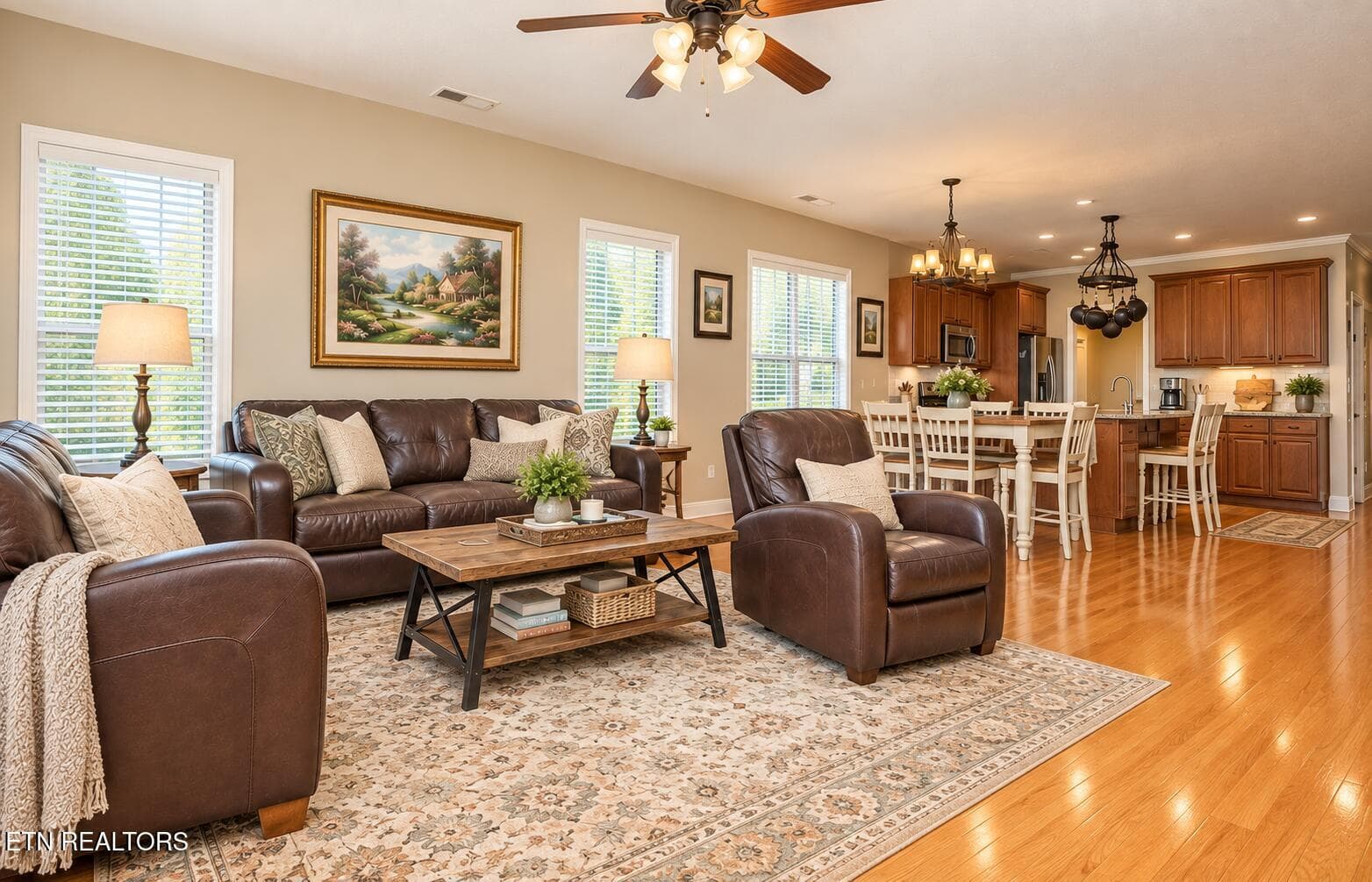 Living room update pic - 125 McNeilly Circle, Maryville, TN 37803, Maryville