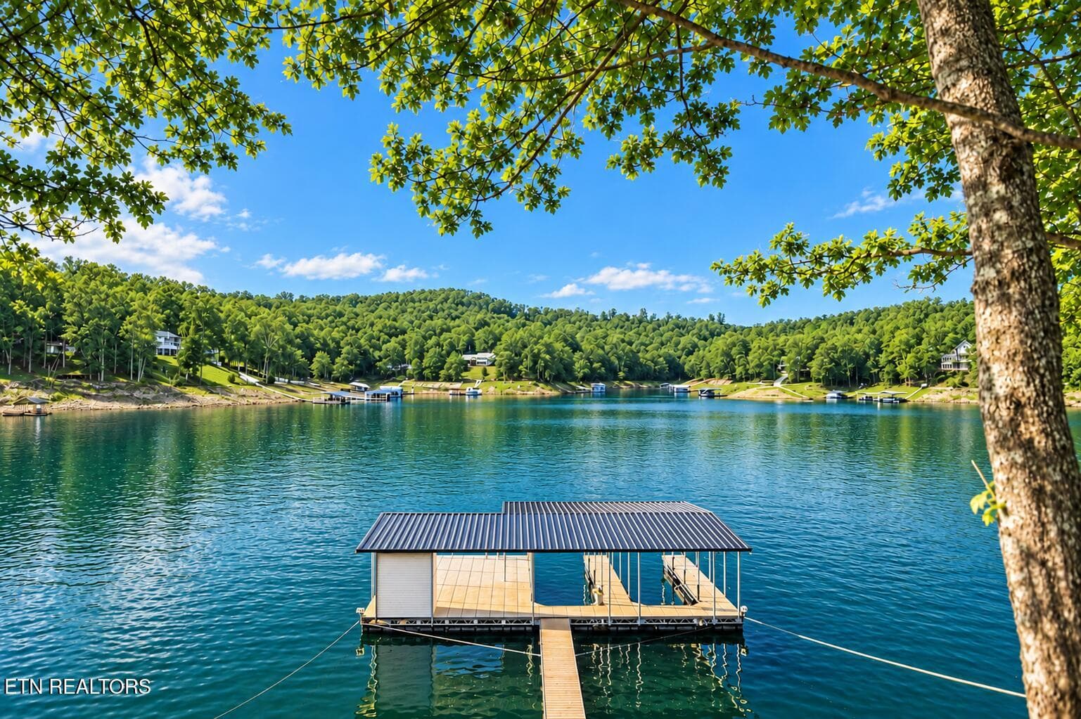 - - 1765 Cove Pointe Rd, LaFollette, TN 37766, LaFollette